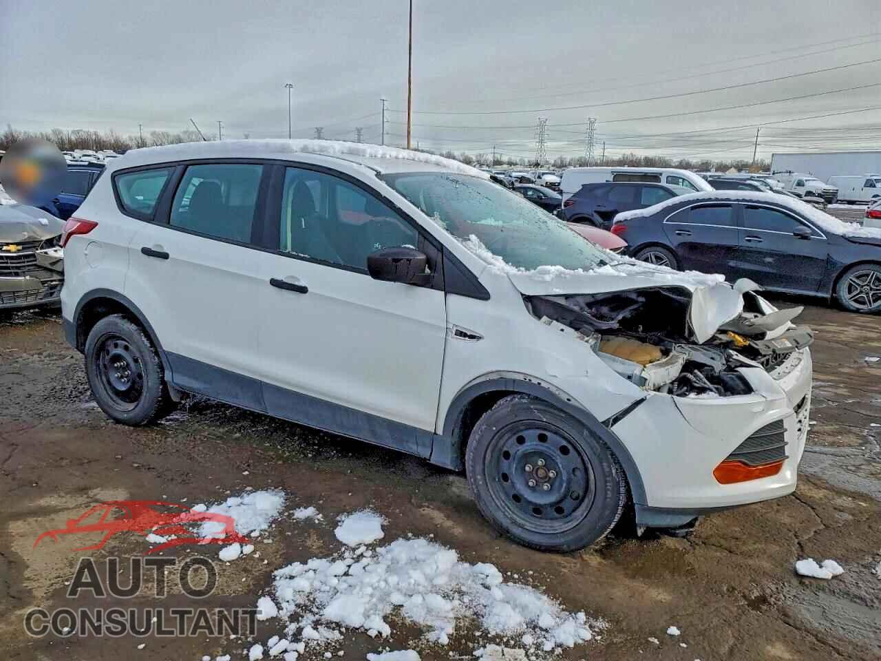 FORD ESCAPE 2014 - 1FMCU0F71EUA11204