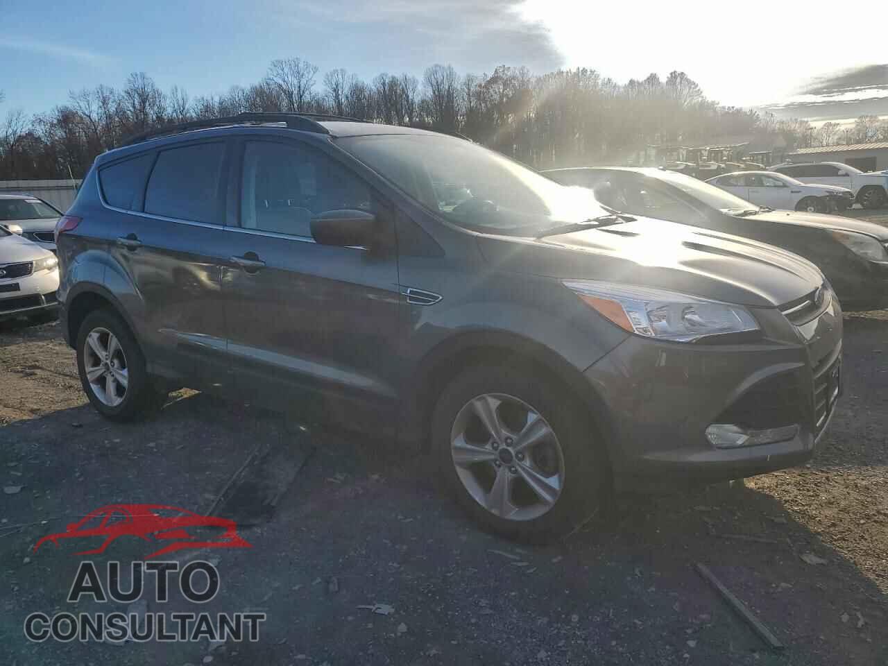 FORD ESCAPE 2014 - 1FMCU9GX7EUC64059