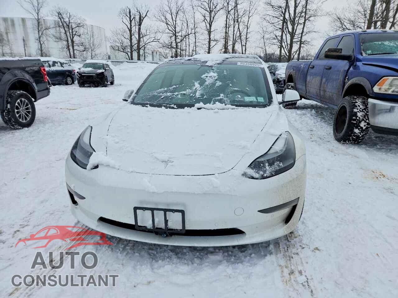 TESLA MODEL 3 2021 - 5YJ3E1EB8MF919184