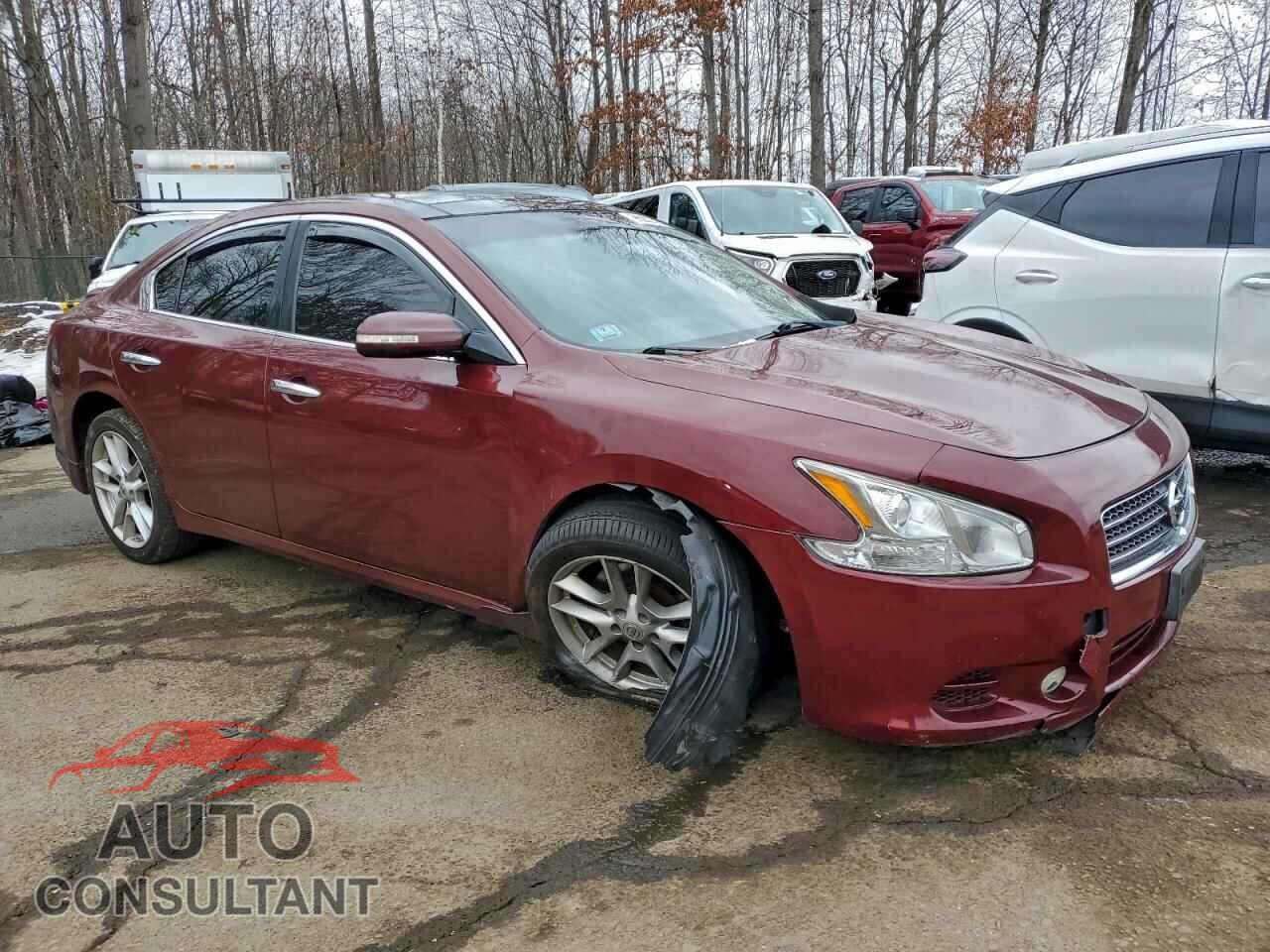 NISSAN MAXIMA 2011 - 1N4AA5AP4BC816503