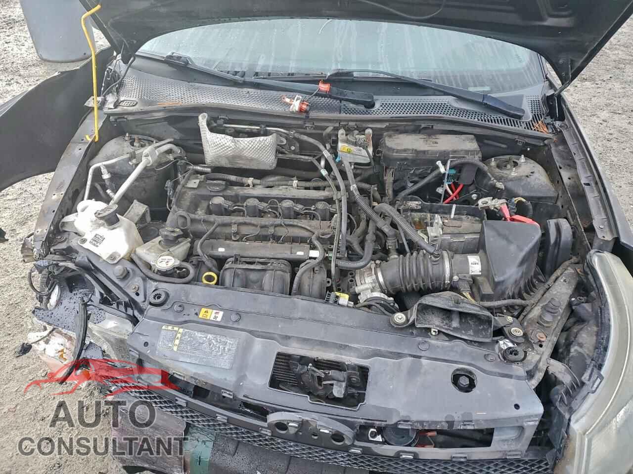 FORD FOCUS 2011 - 1FAHP3GN8BW119616