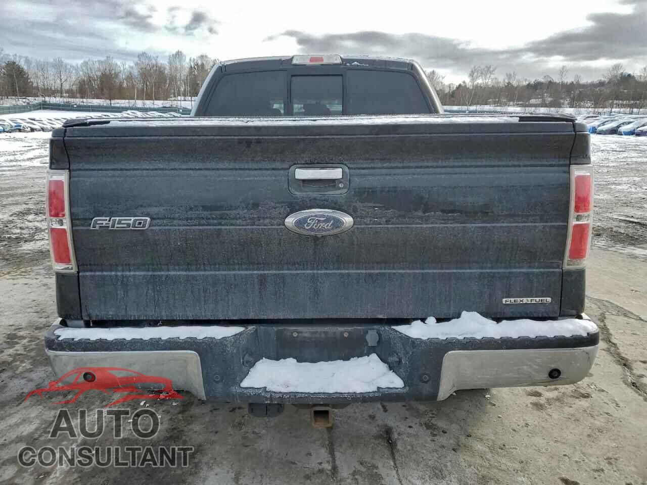 FORD F-150 2014 - 1FTFW1EF8EFA04751