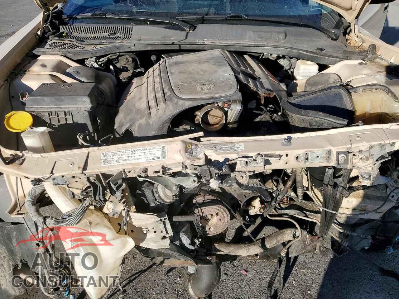 DODGE CHARGER 2010 - 2B3CA4CT1AH238218