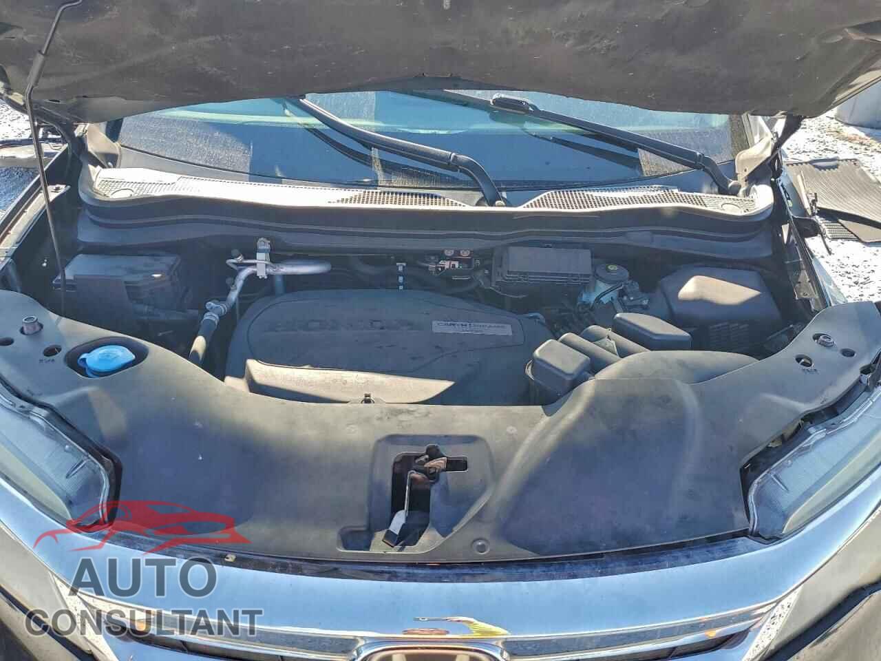 HONDA PILOT 2019 - 5FNYF5H61KB002965