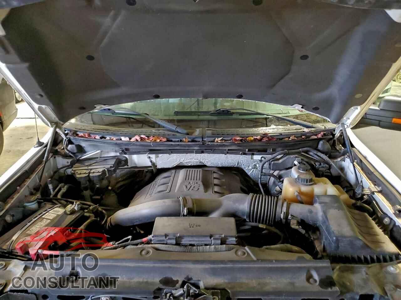 FORD F-150 2011 - 1FTFX1ET7BFB43400