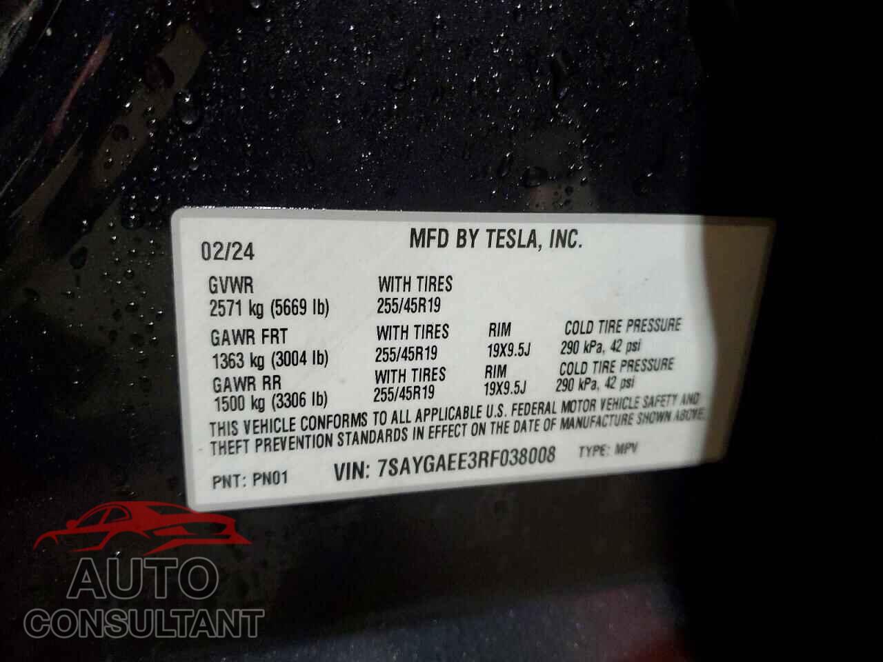 TESLA MODEL Y 2024 - 7SAYGAEE3RF038008