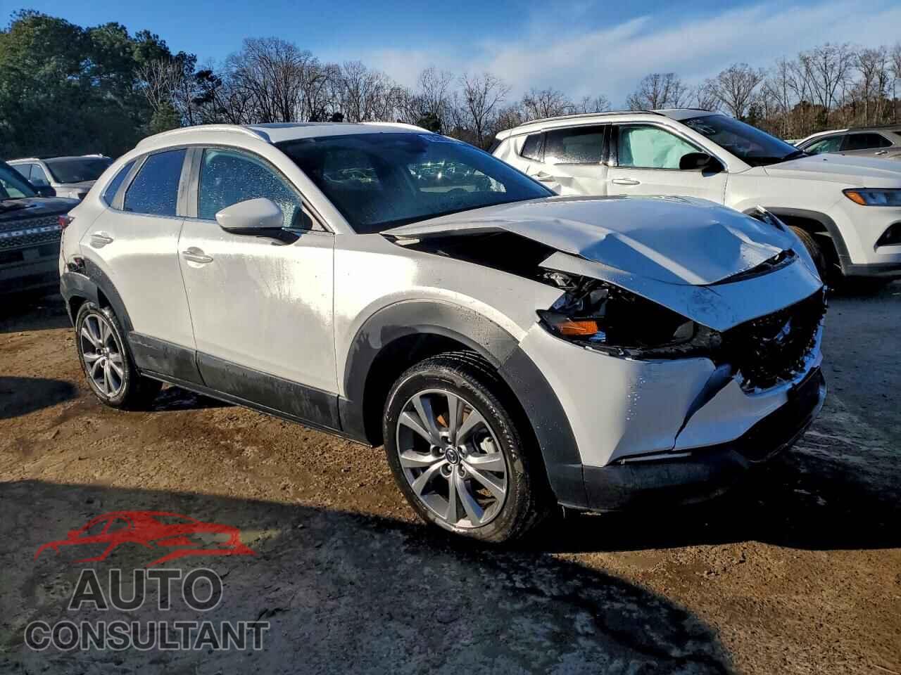 MAZDA CX30 2025 - 3MVDMBCM9SM755713