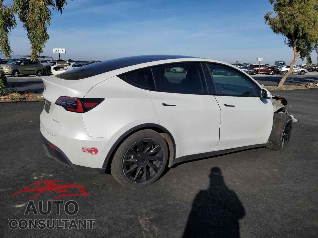 TESLA MODEL Y 2023 - 7SAYGDEE6PF676283