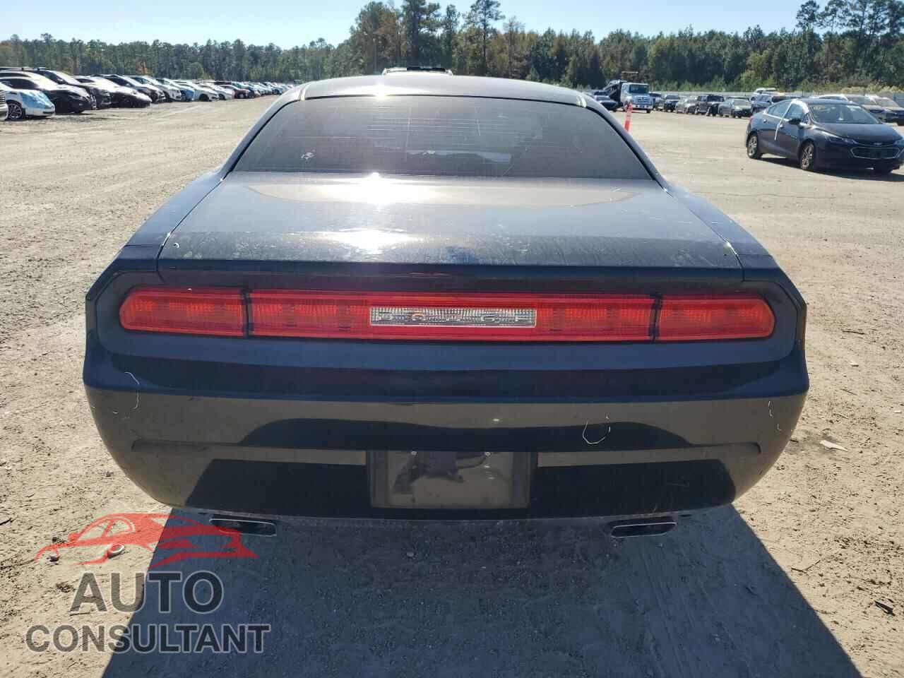 DODGE CHALLENGER 2014 - 2C3CDYAG1EH294706