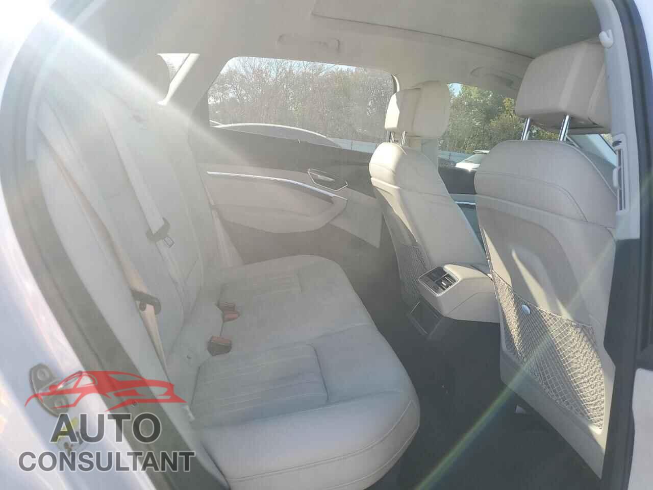 AUDI E-TRON 2019 - WA1VABGEXKB011296