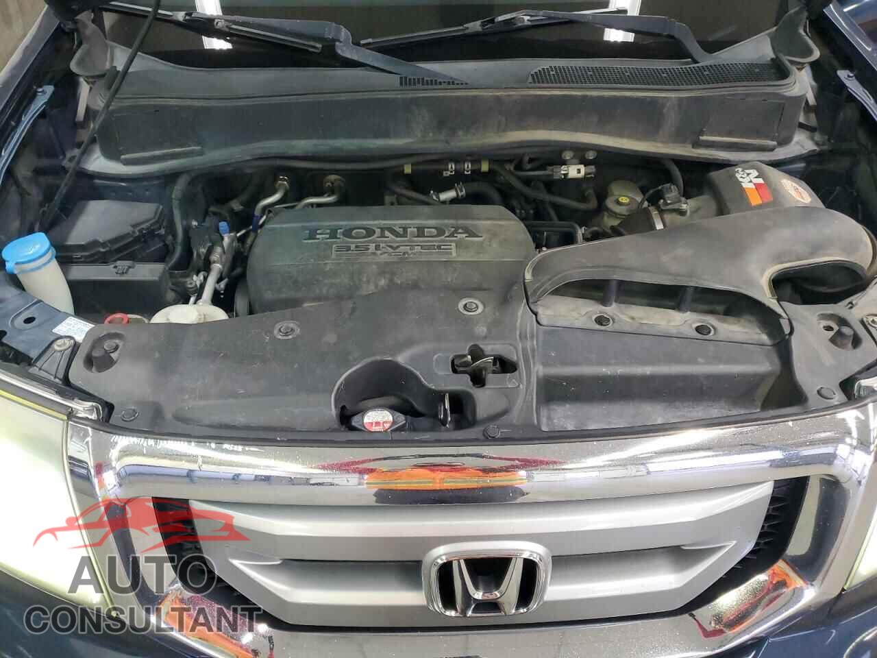 HONDA PILOT 2011 - 5FNYF4H72BB084501