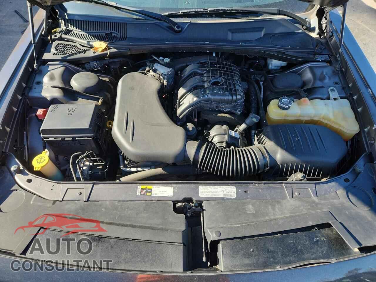 DODGE CHALLENGER 2013 - 2C3CDYAG9DH508842