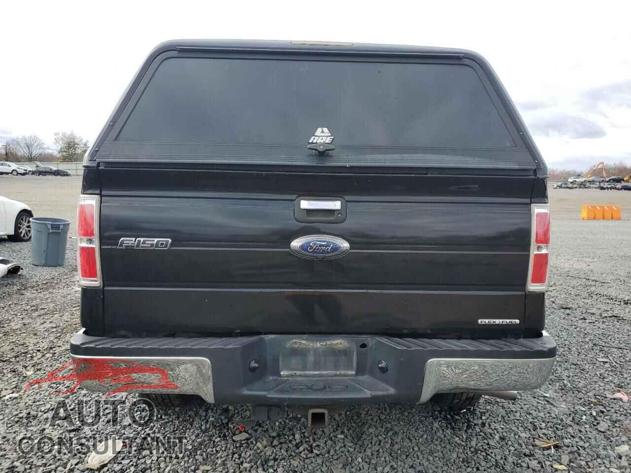 FORD F-150 2011 - 1FTFX1EF8BFC16493