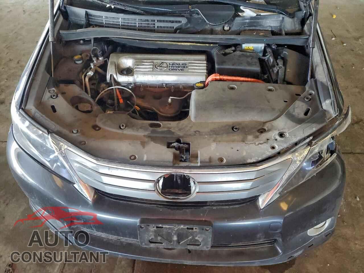 LEXUS HS 2010 - JTHBB1BA1A2015948