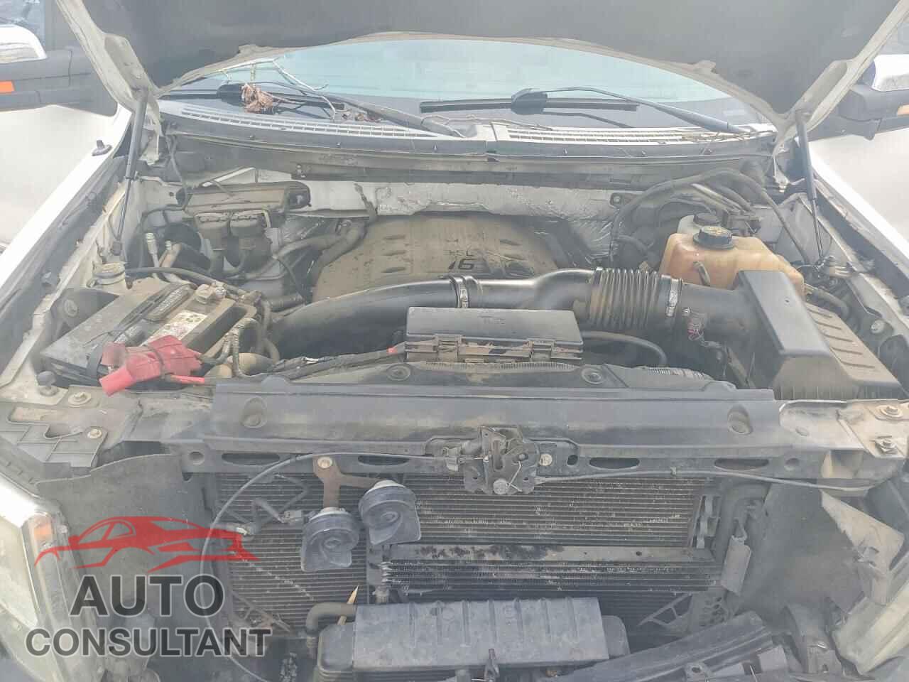FORD F-150 2011 - 1FTFW1ET1BFD08943