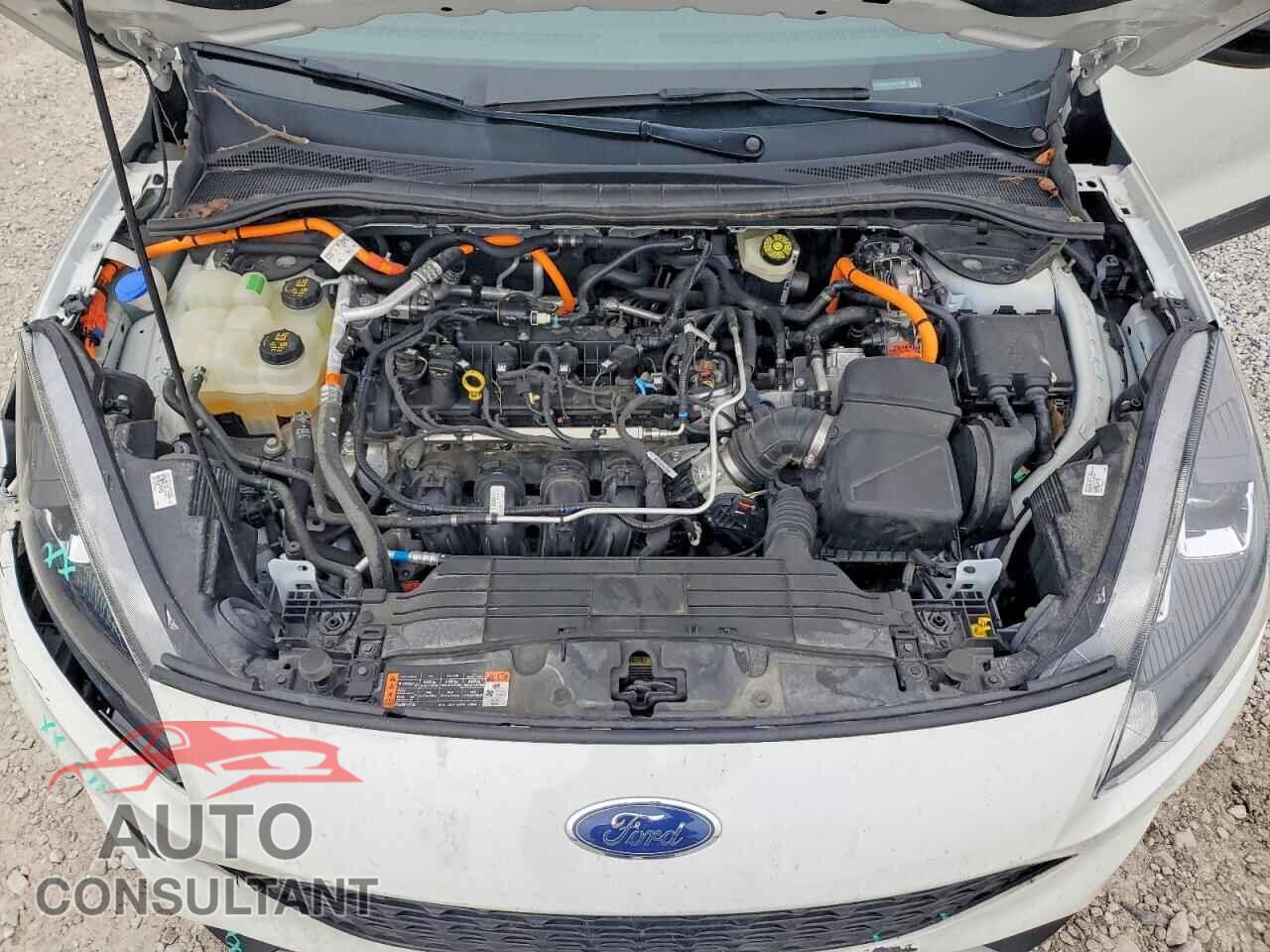 FORD ESCAPE 2020 - 1FMCU9BZ1LUA73601