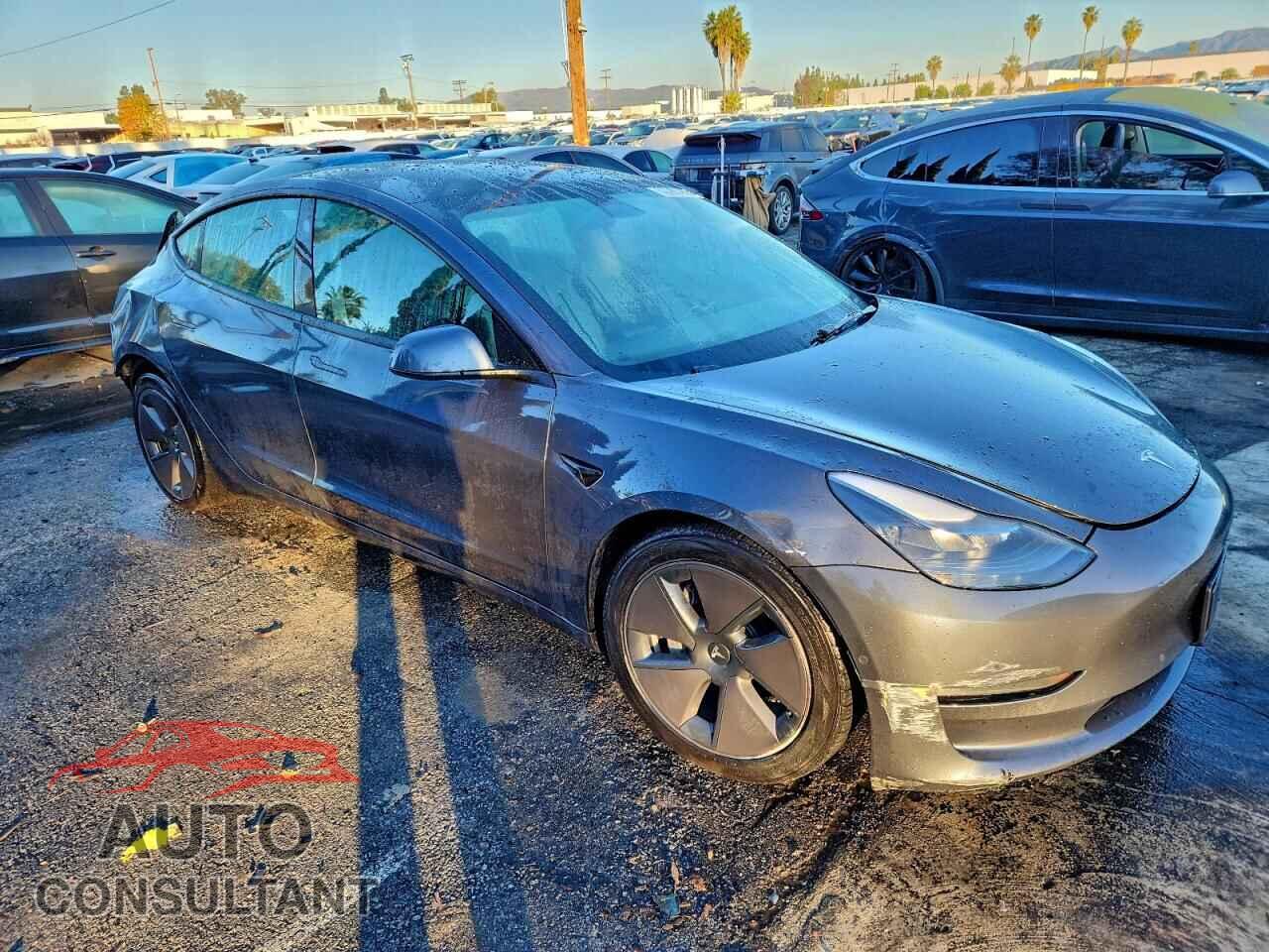TESLA MODEL 3 2022 - 5YJ3E1EA8NF289319