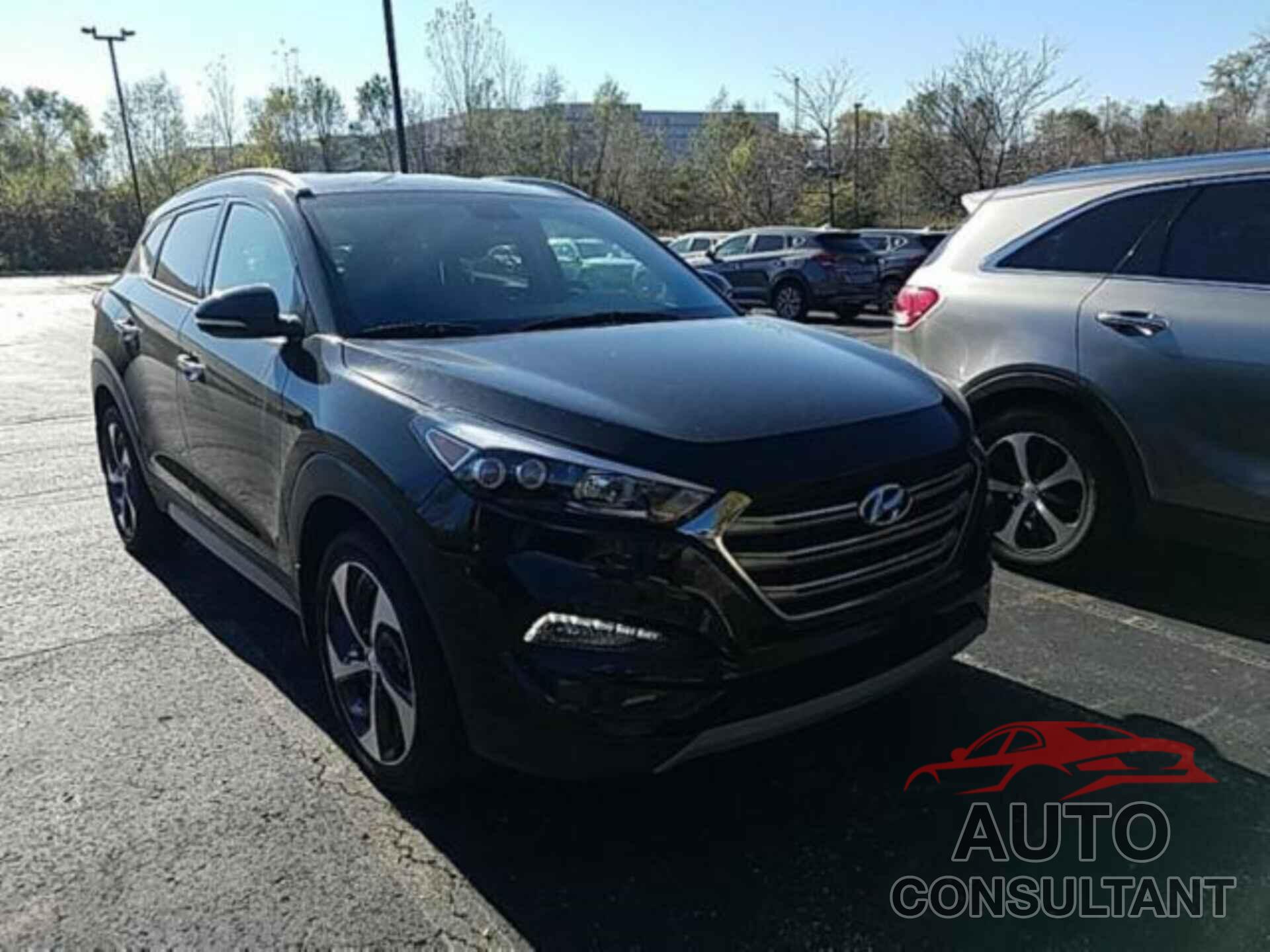 HYUNDAI TUCSON 2017 - KM8J3CA20HU361323