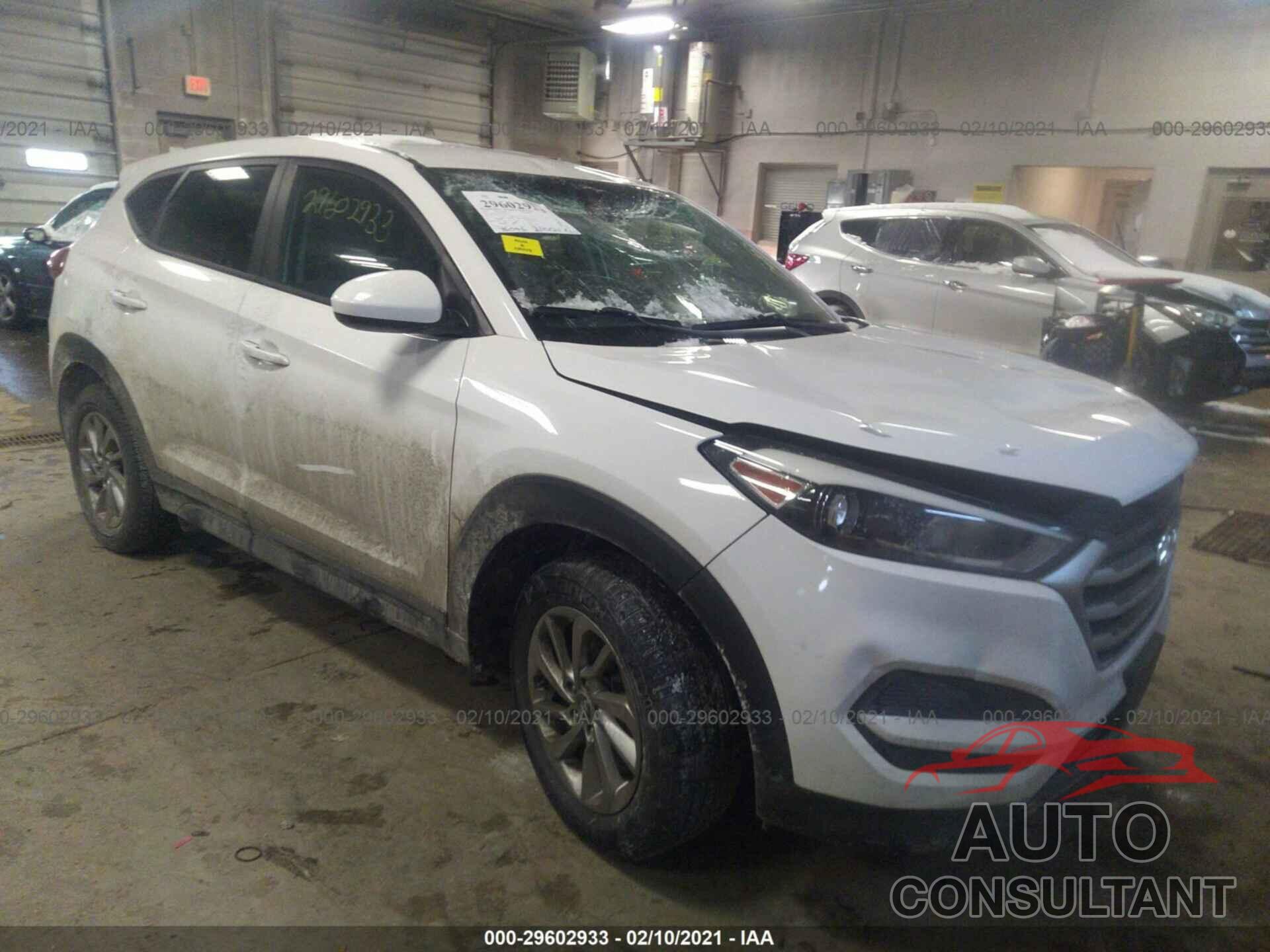 HYUNDAI TUCSON 2017 - KM8J23A46HU308212