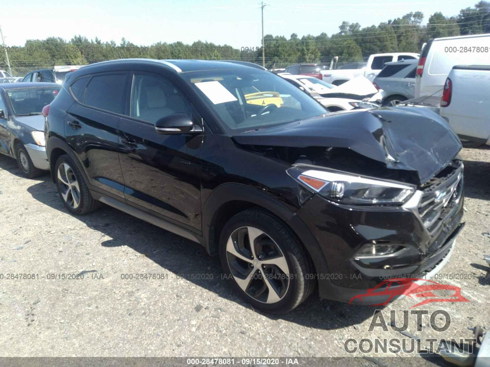 HYUNDAI TUCSON 2017 - KM8J3CA25HU347966