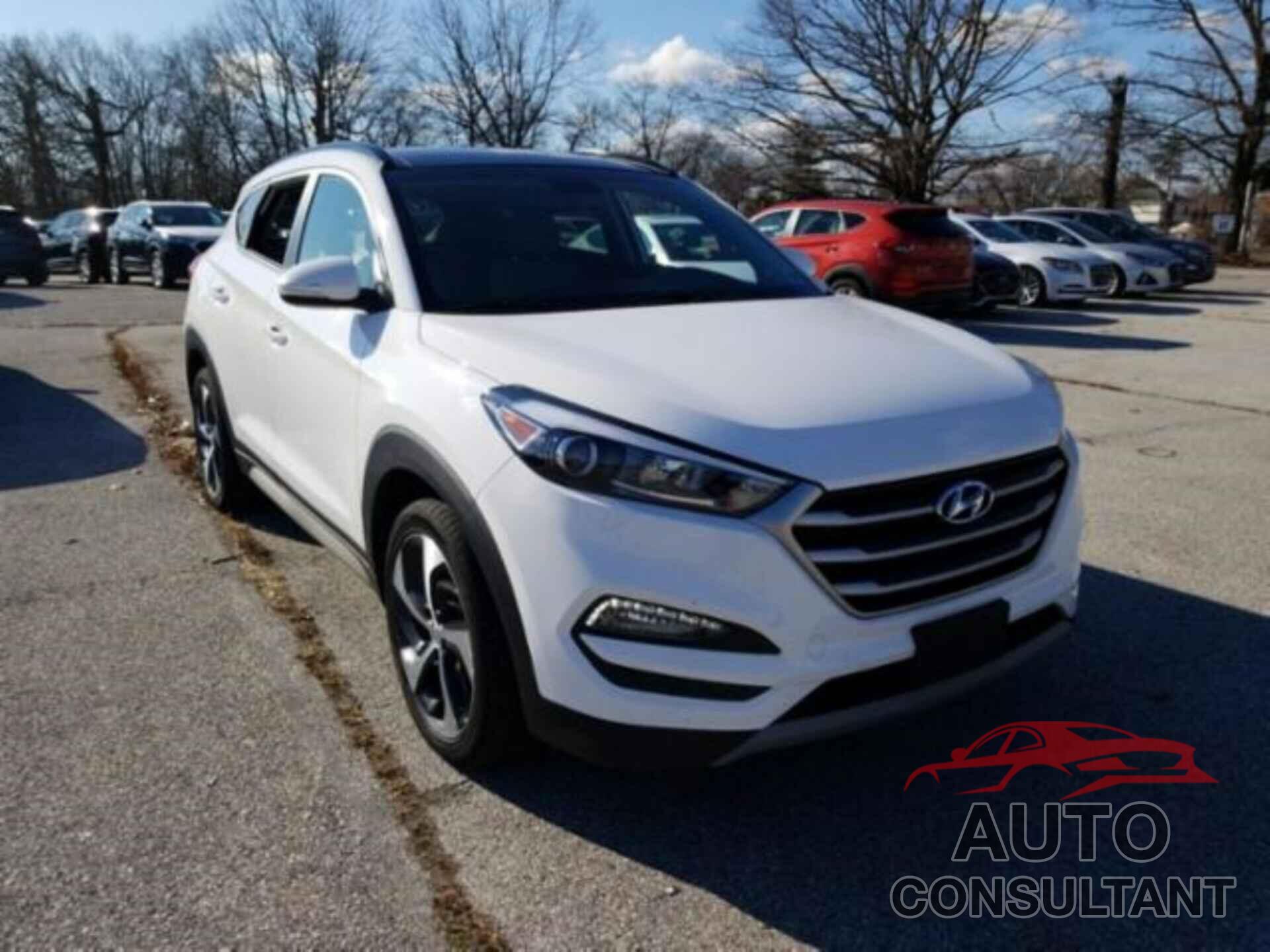 HYUNDAI TUCSON 2017 - KM8J3CA28HU567327