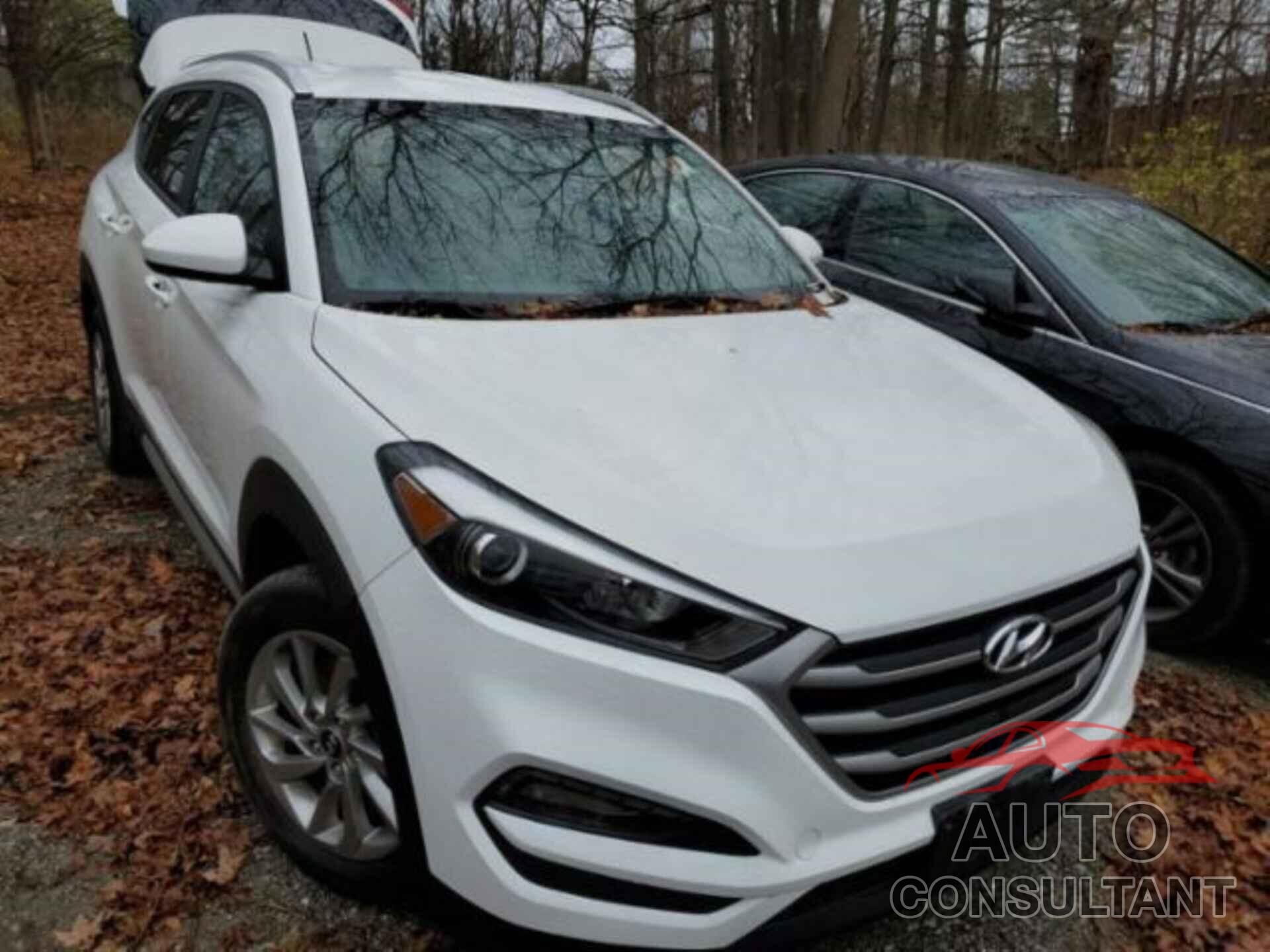 HYUNDAI TUCSON 2017 - KM8J3CA4XHU552491