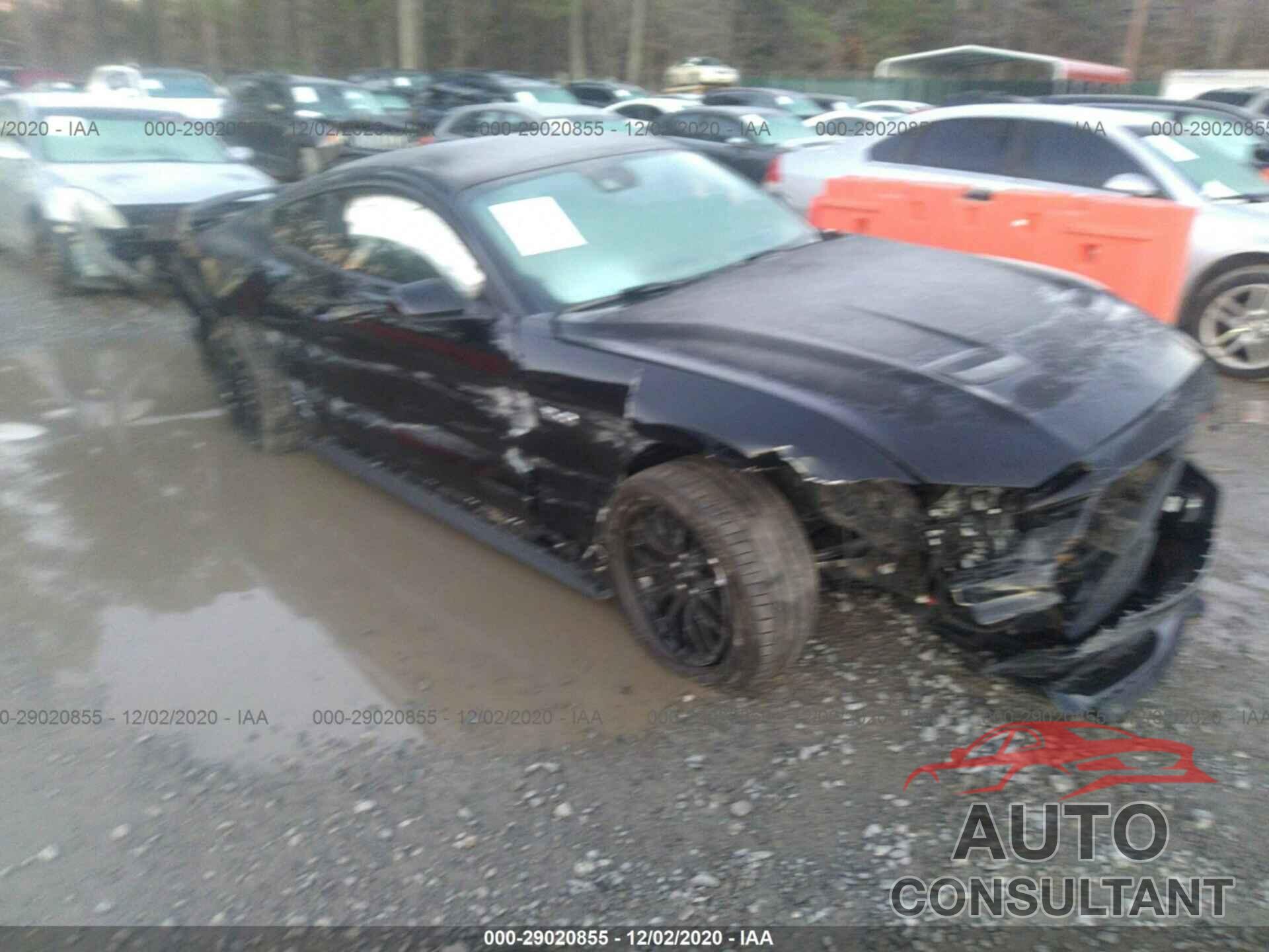FORD MUSTANG 2019 - 1FA6P8CF8K5101822
