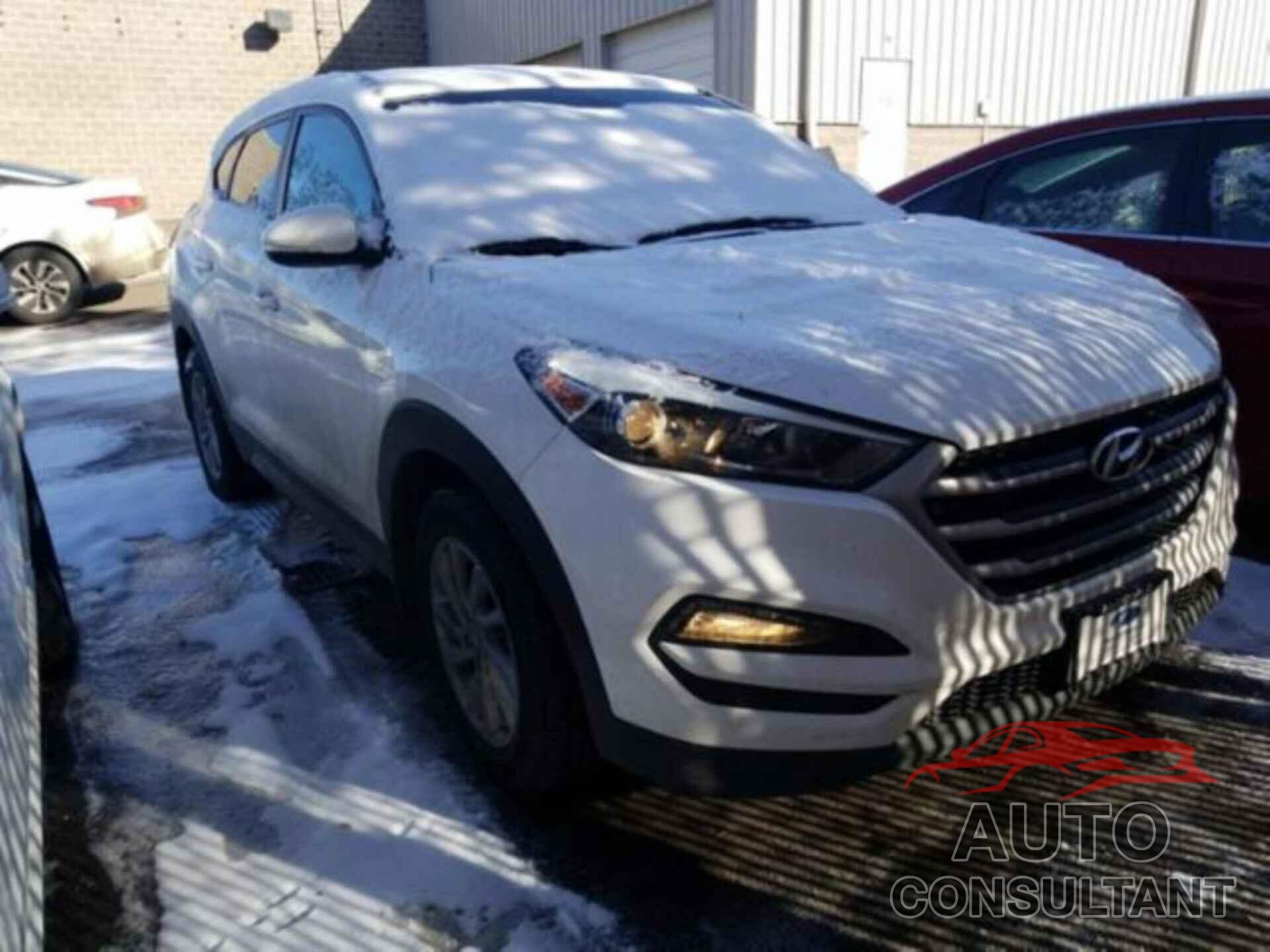 HYUNDAI TUCSON 2017 - KM8J3CA41HU557448