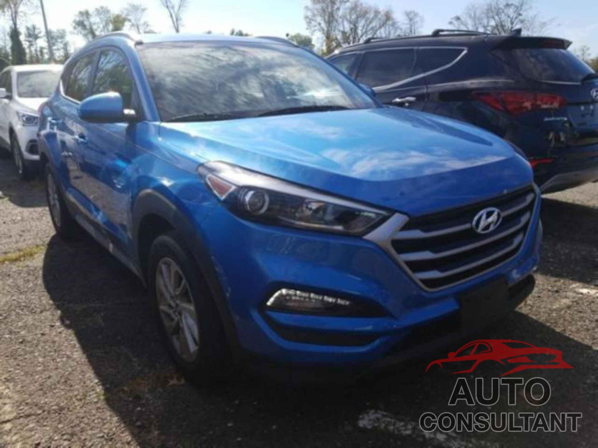 HYUNDAI TUCSON 2017 - KM8J3CA42HU436993