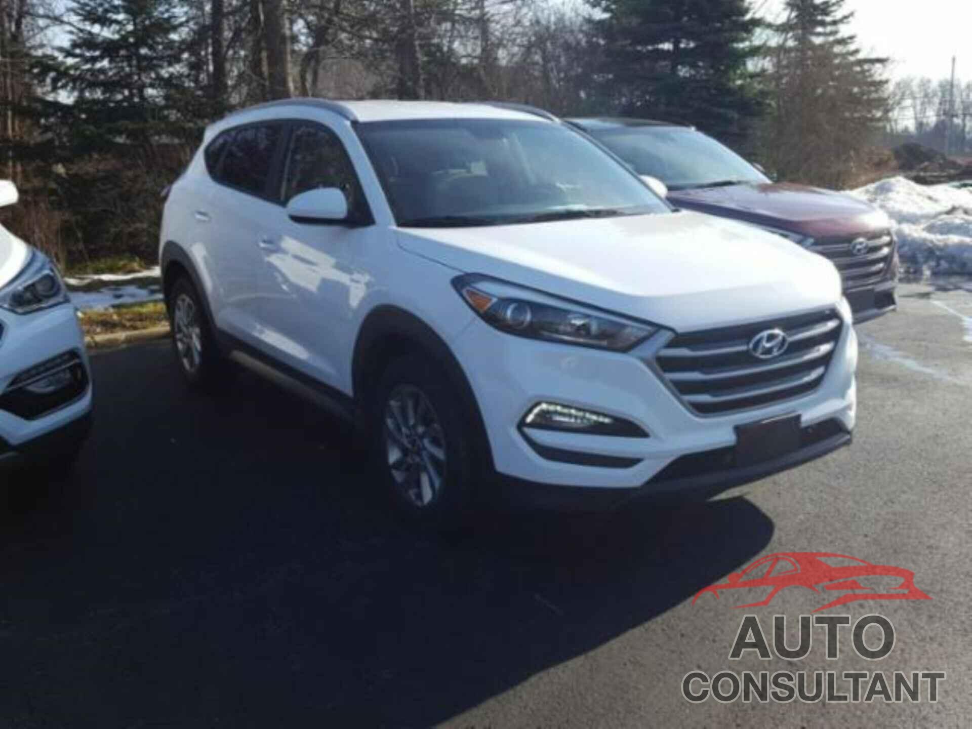 HYUNDAI TUCSON 2017 - KM8J33A43HU271066