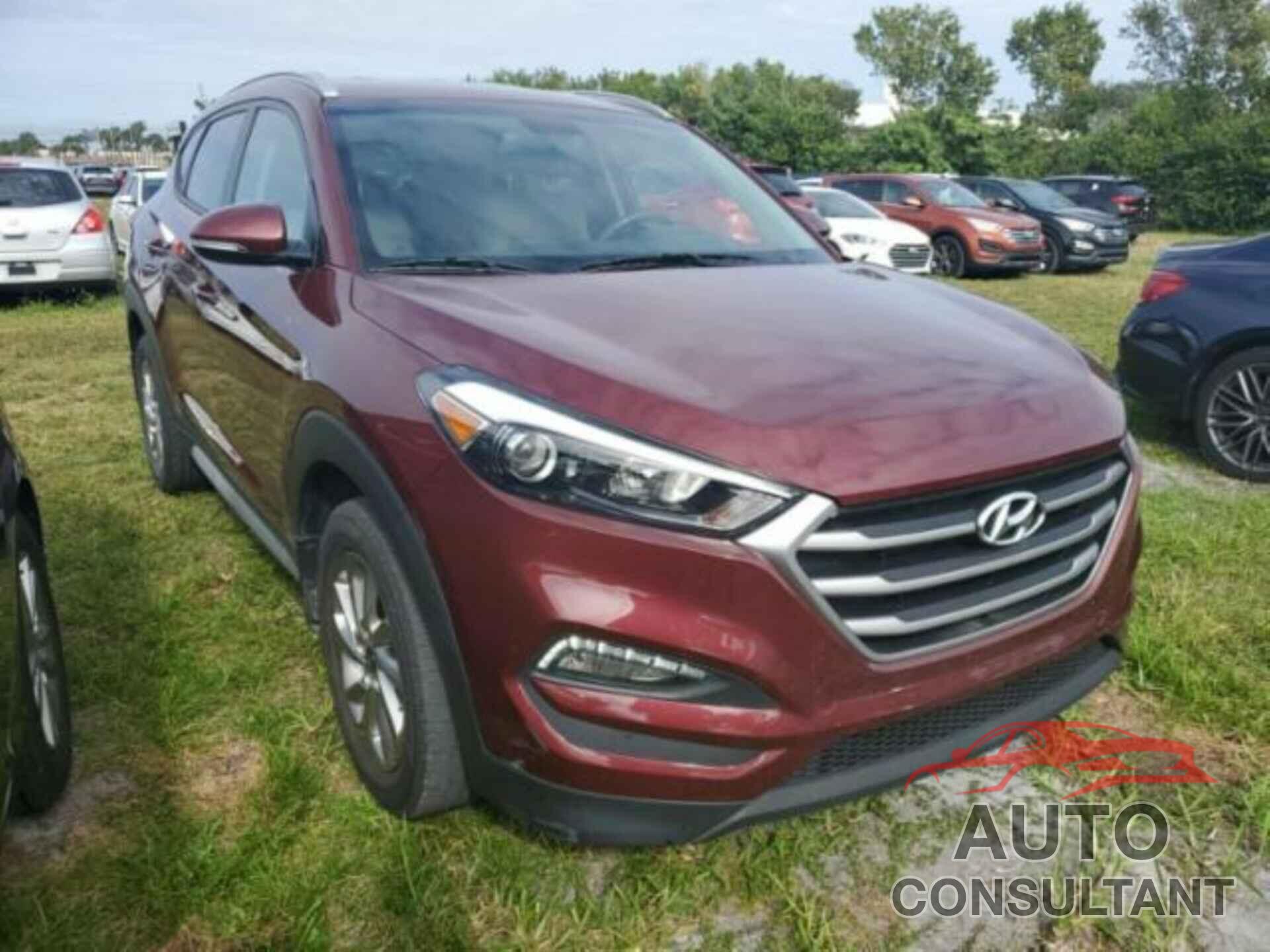 HYUNDAI TUCSON 2017 - KM8J33A48HU509705