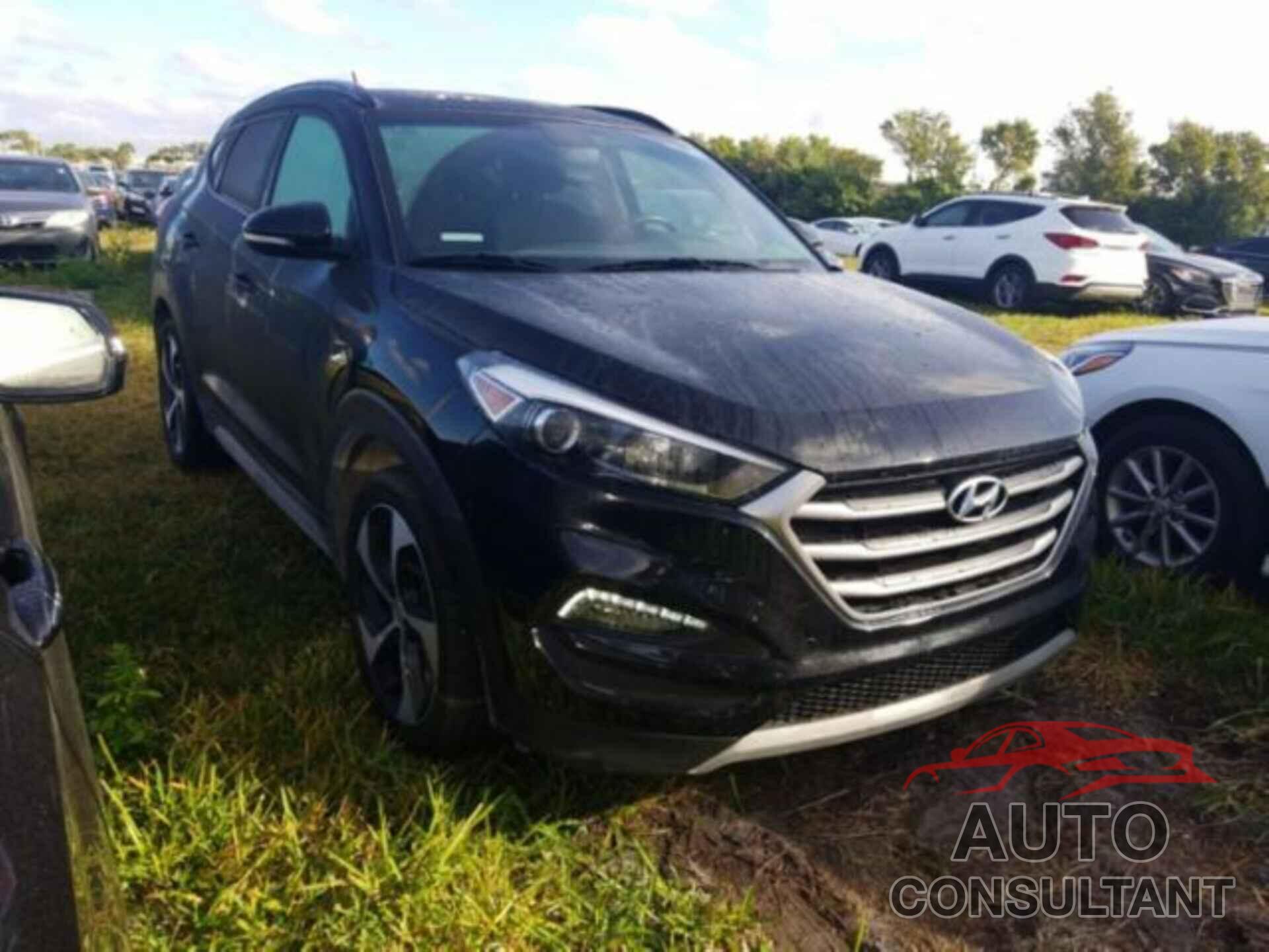 HYUNDAI TUCSON 2017 - KM8J33A27HU559669