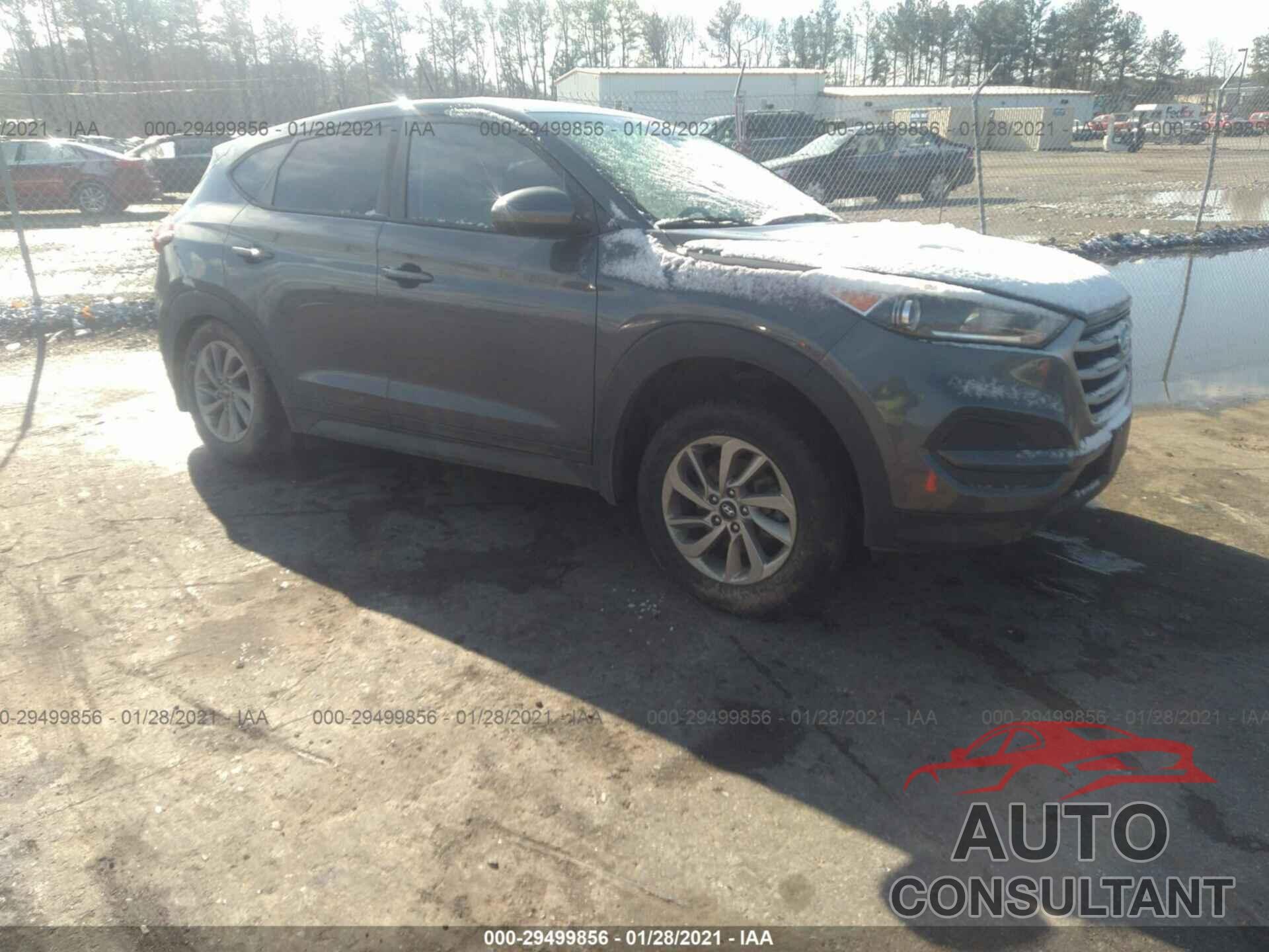 HYUNDAI TUCSON 2017 - KM8J23A47HU389639