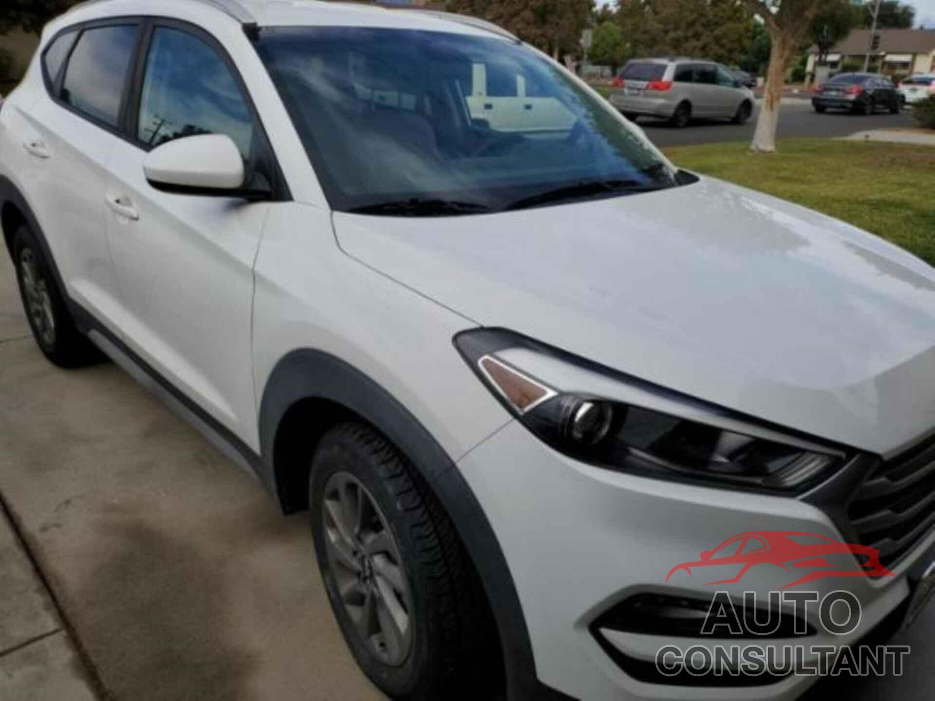 HYUNDAI TUCSON 2017 - KM8J33A42HU484851