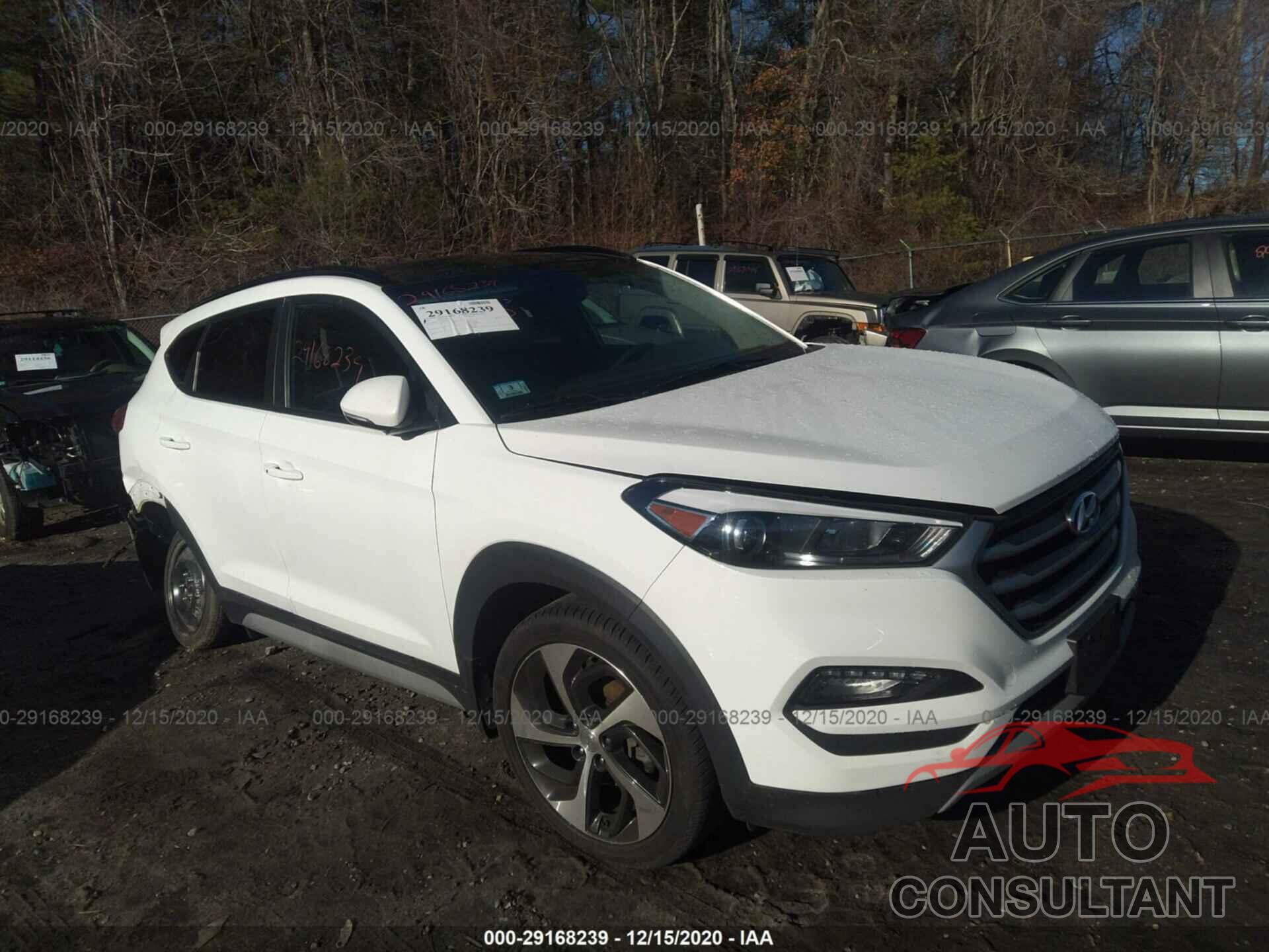 HYUNDAI TUCSON 2017 - KM8J3CA23HU568336
