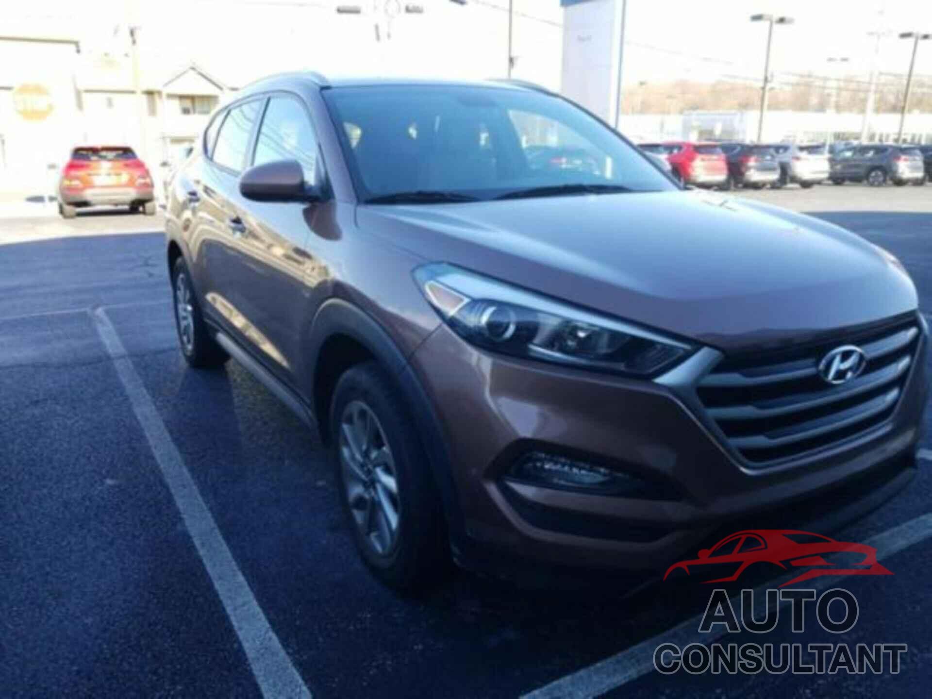 HYUNDAI TUCSON 2017 - KM8J3CA44HU504159