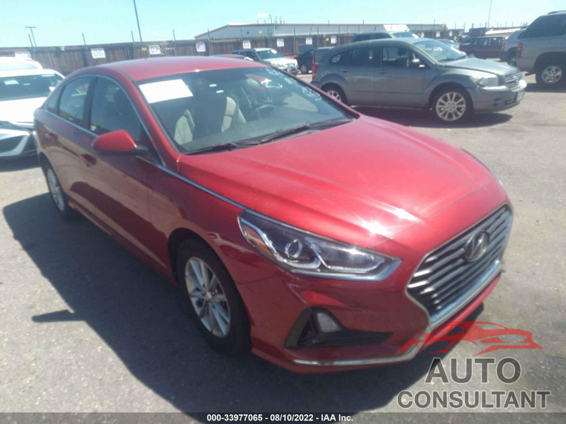 HYUNDAI SONATA 2019 - 5NPE24AF7KH742542