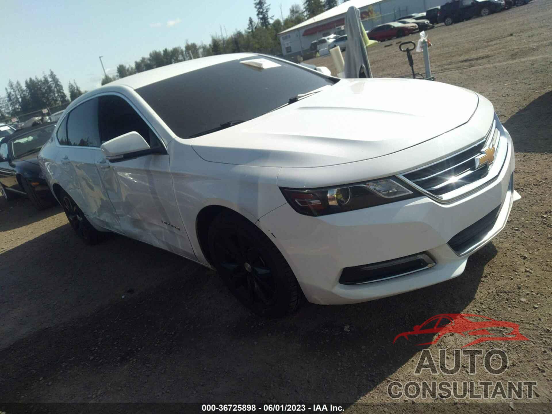 CHEVROLET IMPALA 2019 - 2G11Z5S37K9104789