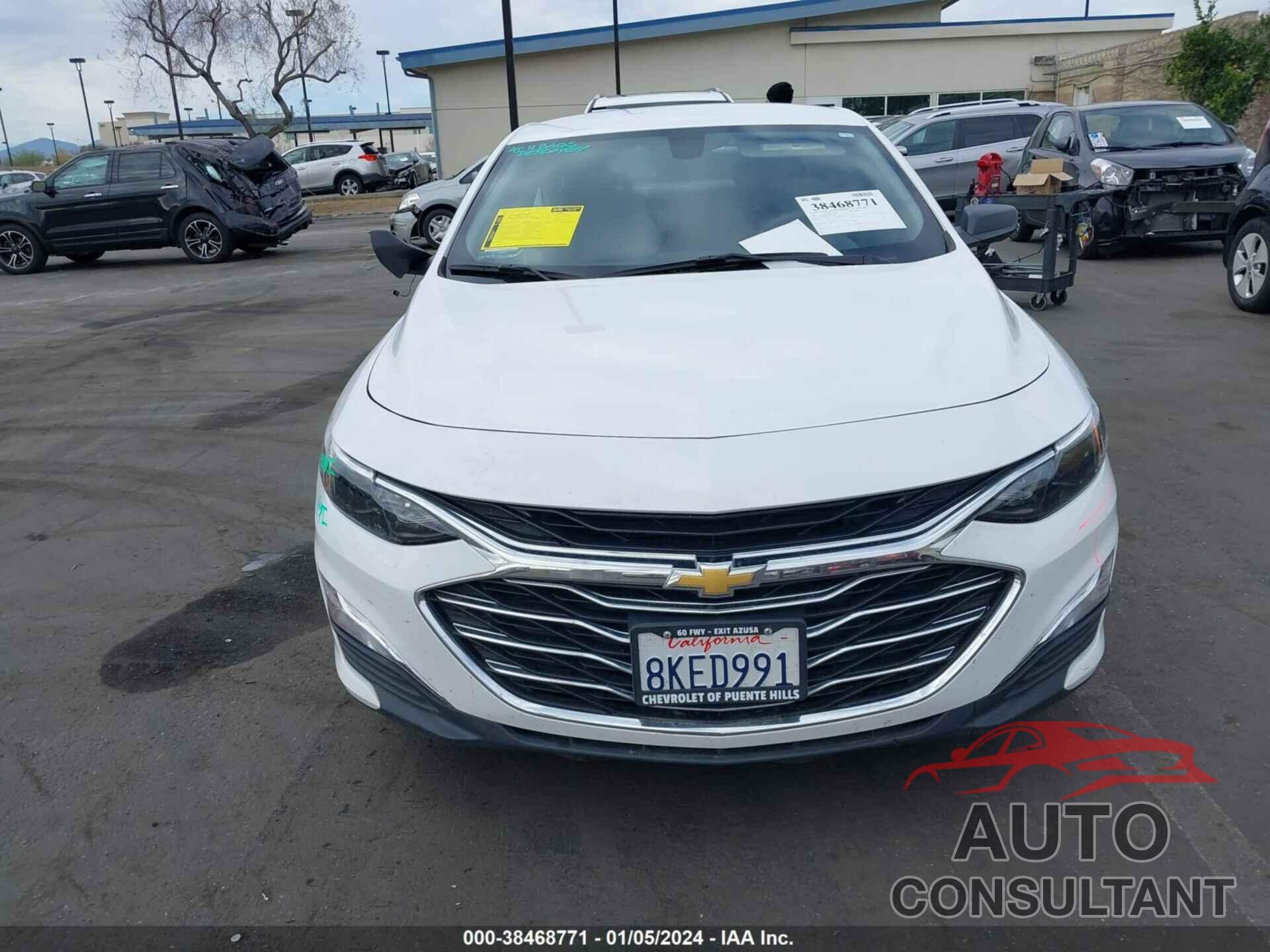 CHEVROLET MALIBU 2019 - 1G1ZB5ST4KF145072