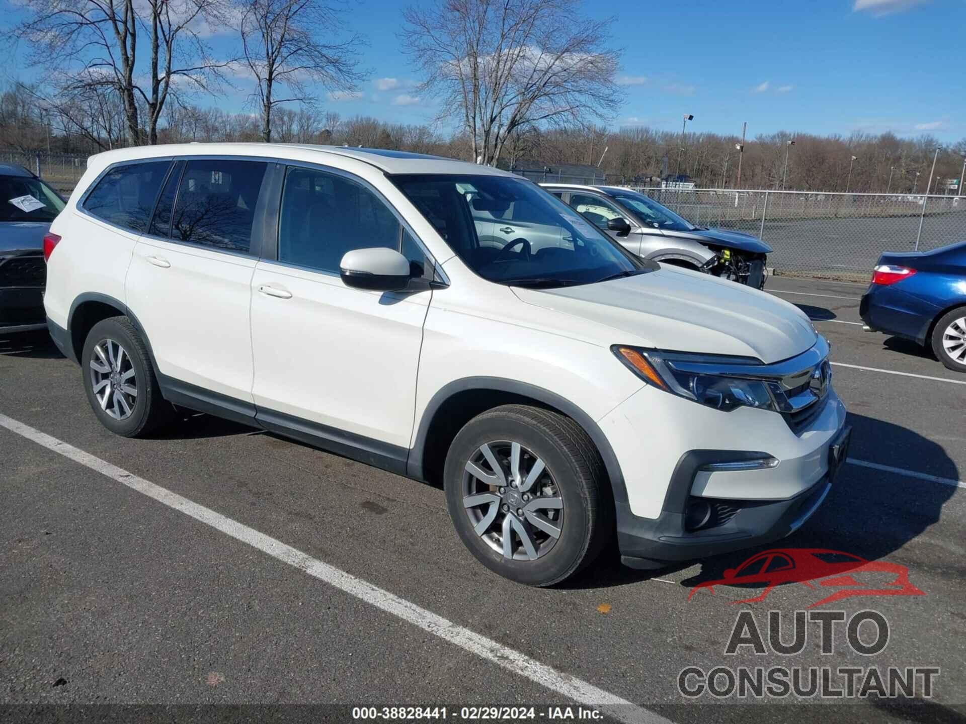 HONDA PILOT 2019 - 5FNYF6H55KB058016