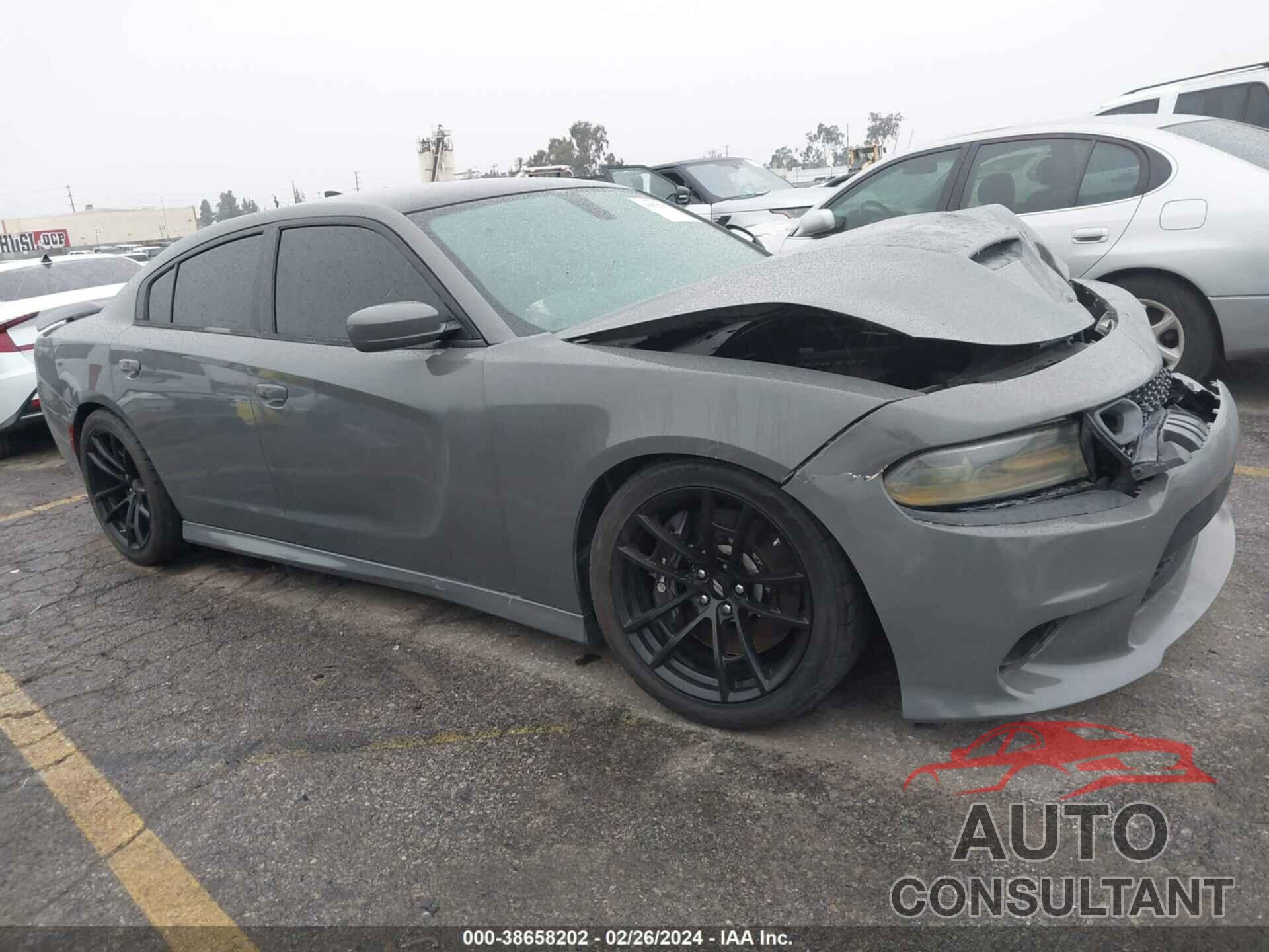 DODGE CHARGER 2019 - 2C3CDXGJ8KH520376