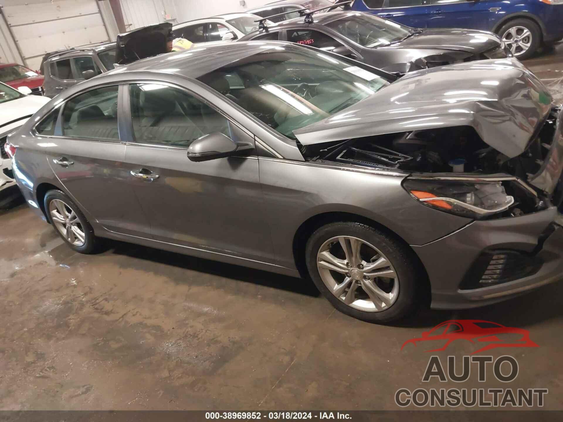 HYUNDAI SONATA 2019 - 5NPE34AF4KH774426