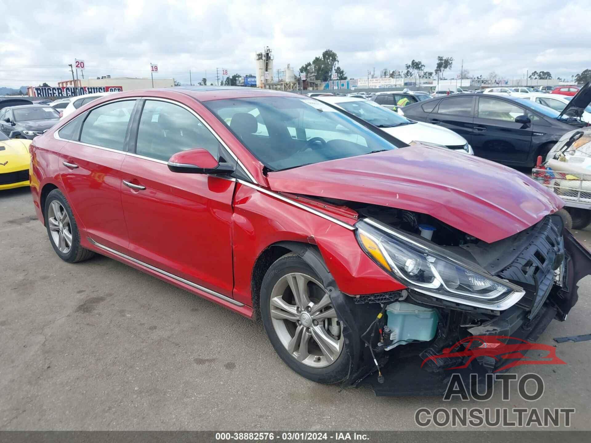 HYUNDAI SONATA 2019 - 5NPE34AF3KH816147