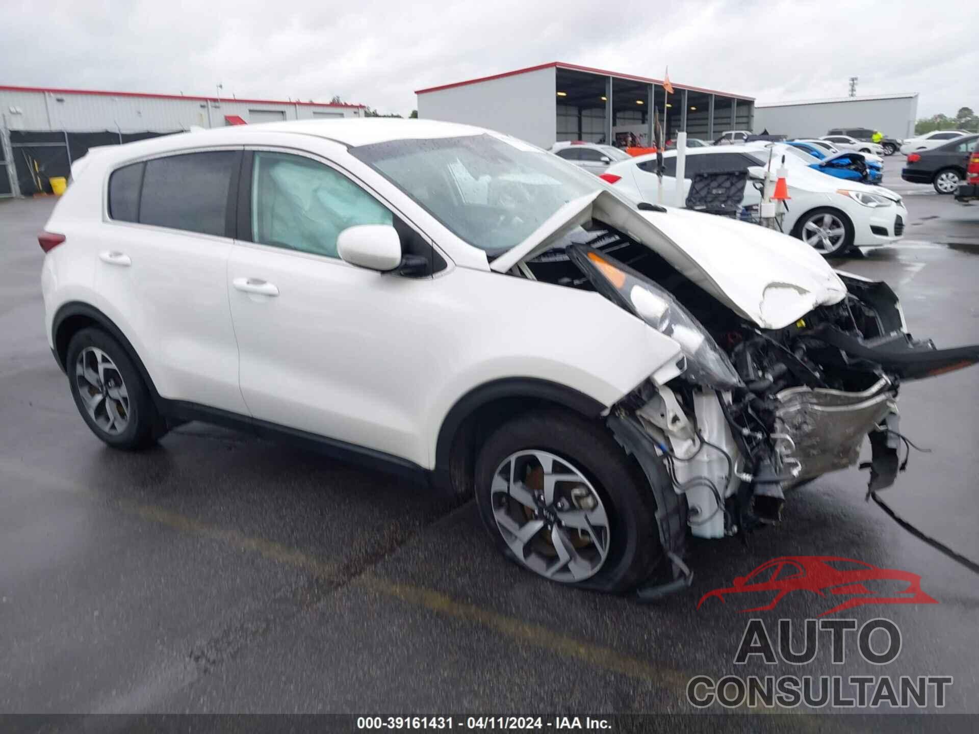 KIA SPORTAGE 2022 - KNDPM3AC3N7997801