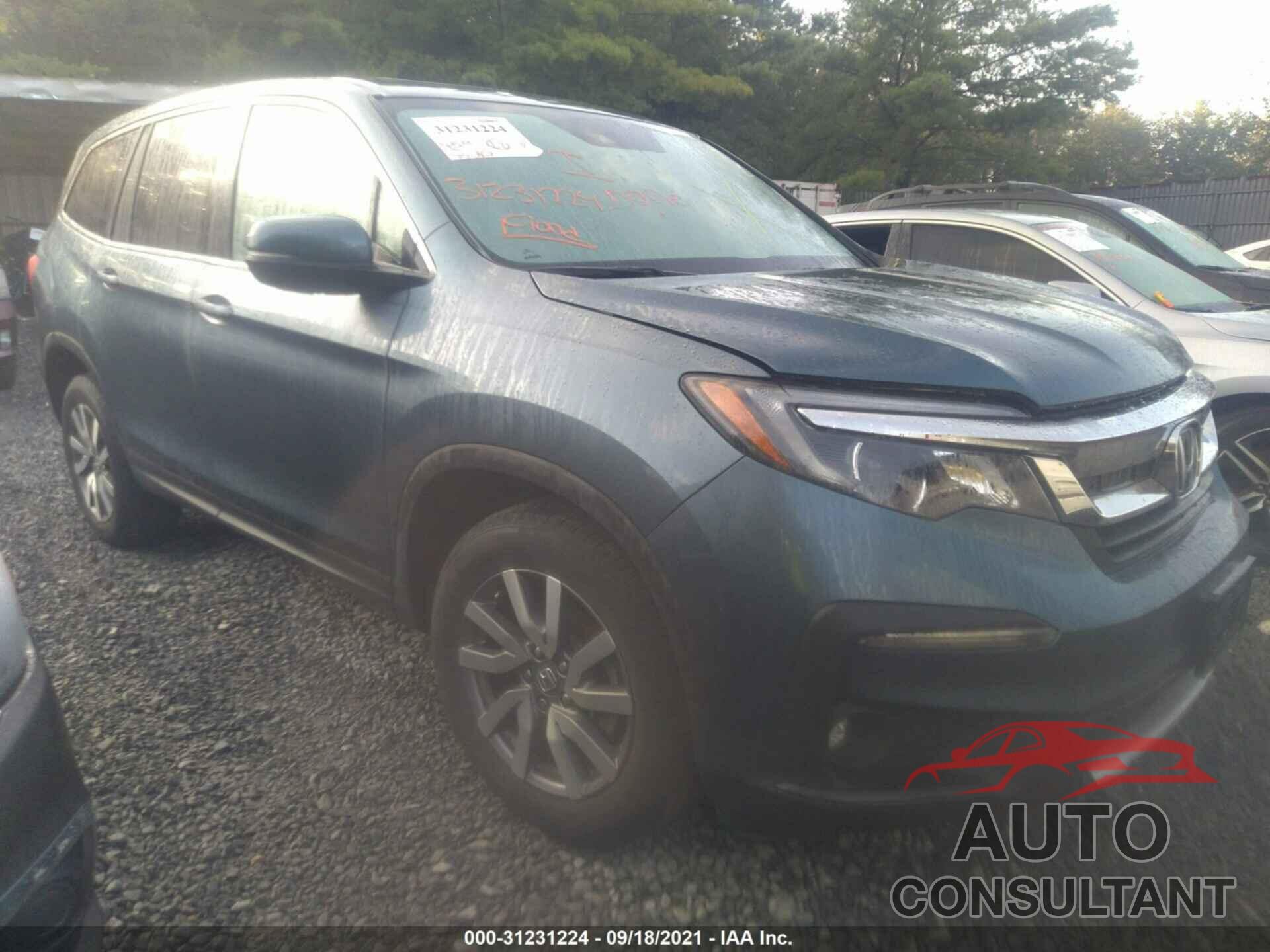 HONDA PILOT 2019 - 5FNYF6H52KB096190