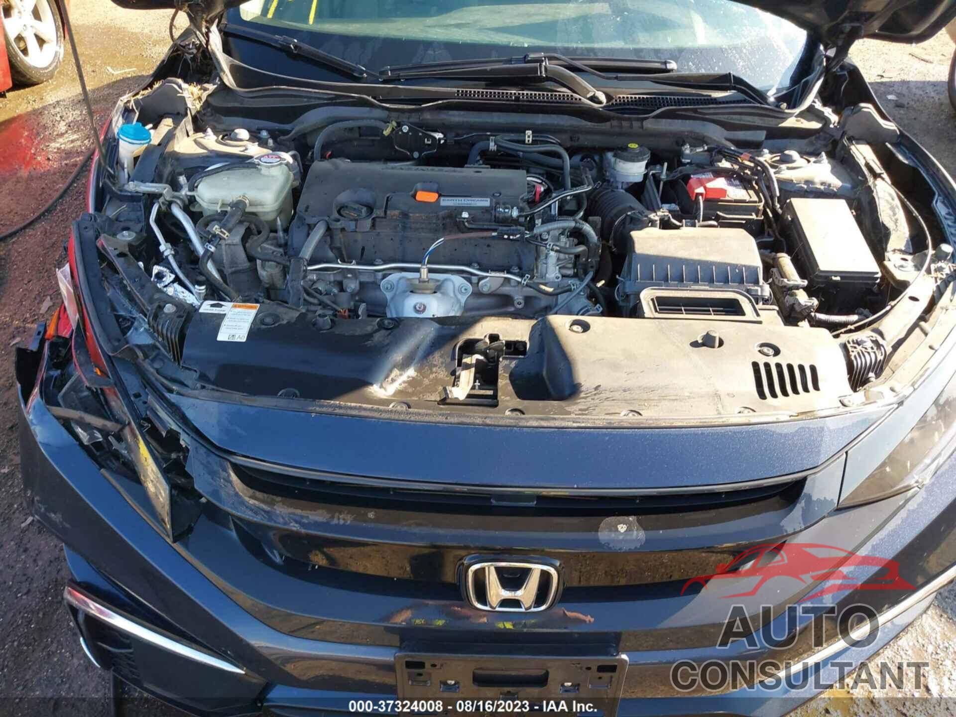 HONDA CIVIC 2019 - 2HGFC2F67KH523489