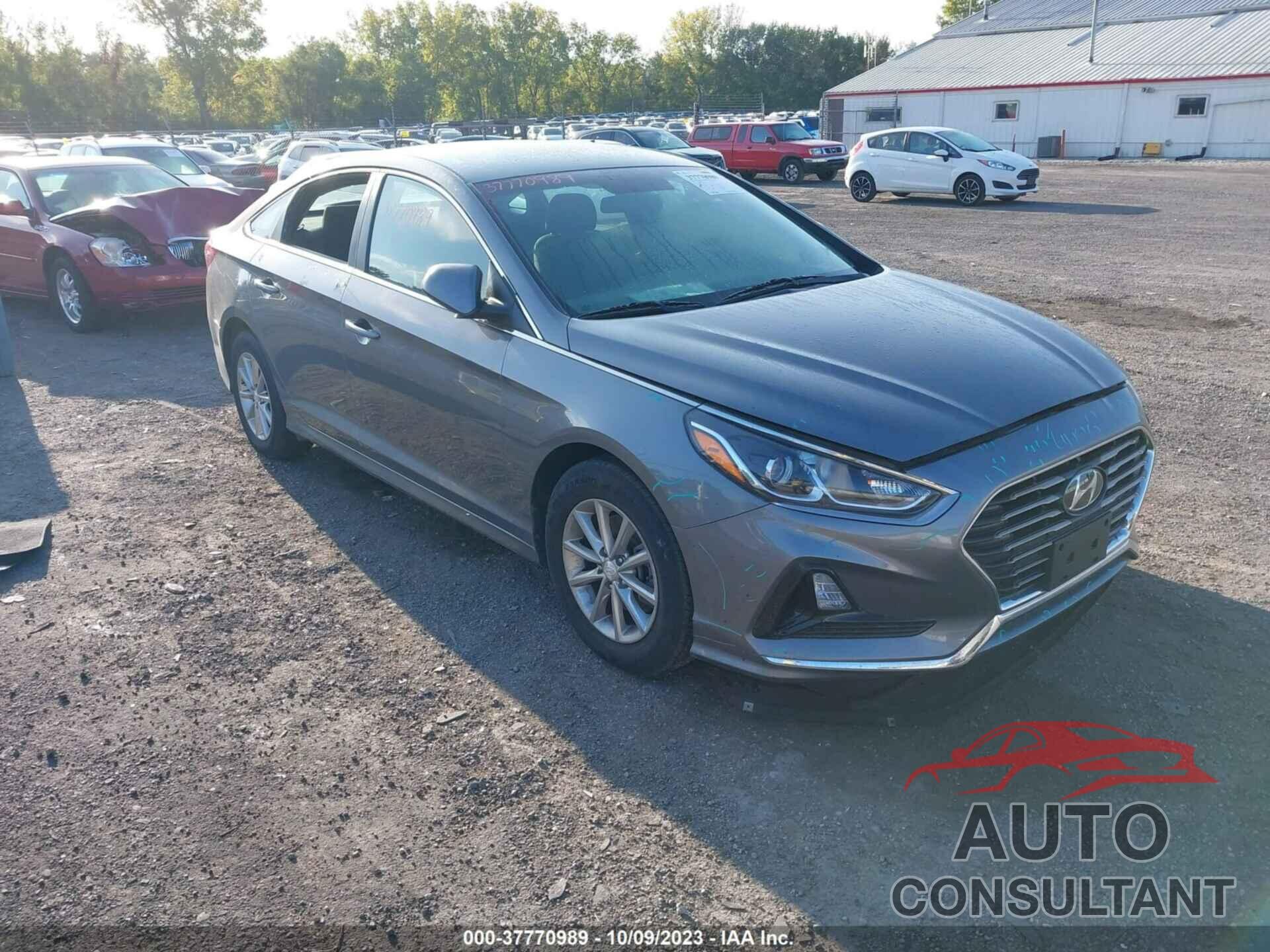 HYUNDAI SONATA 2019 - 5NPE24AF1KH747753