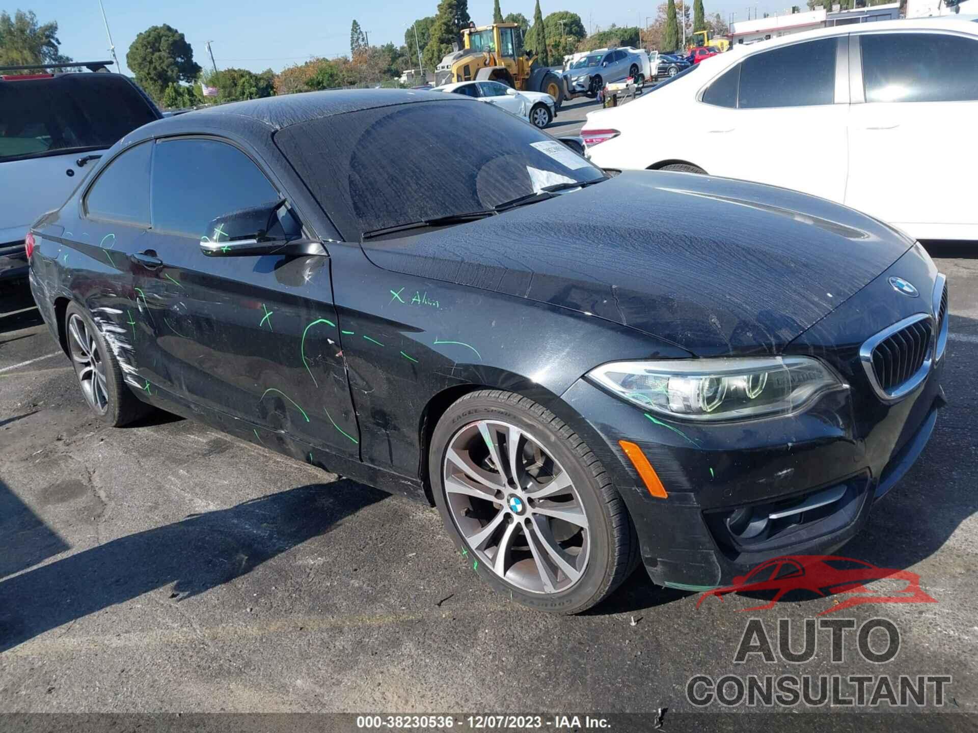 BMW 228I 2016 - WBA1F9C51GV545634