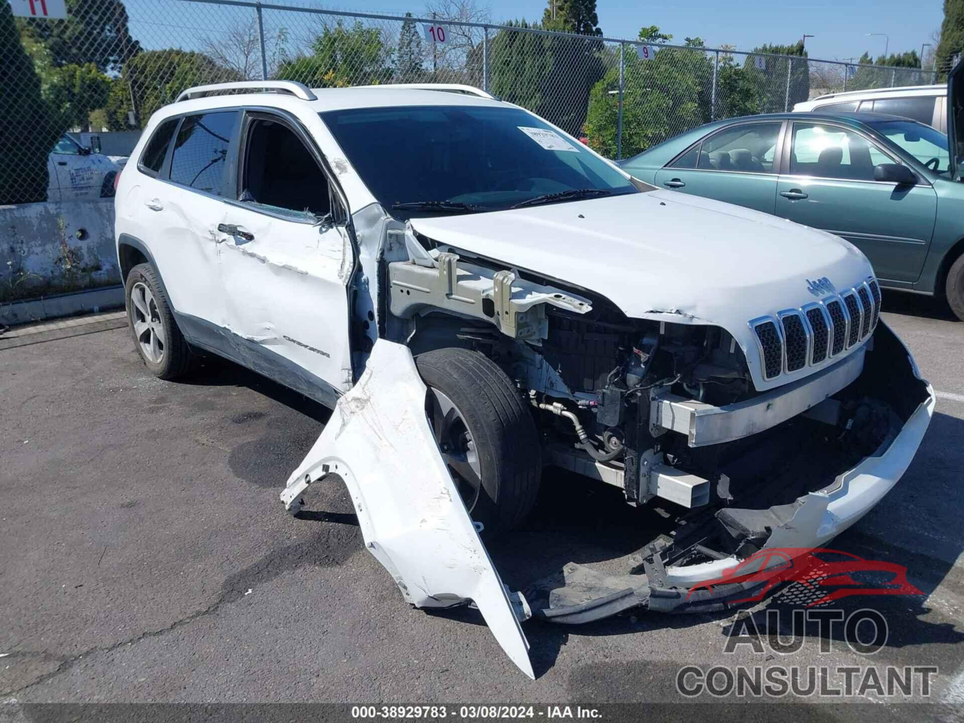 JEEP CHEROKEE 2019 - 1C4PJLDB3KD170390