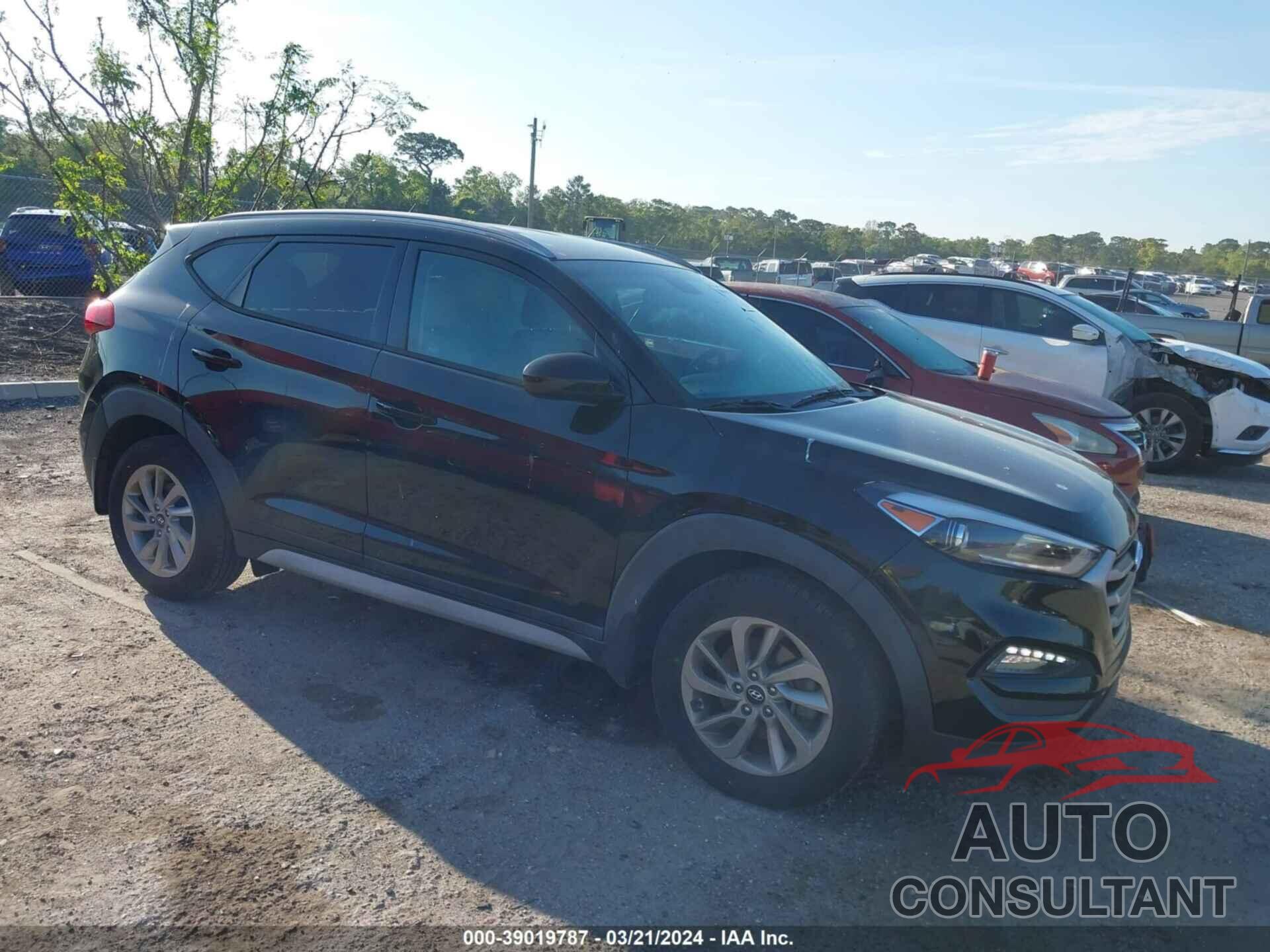 HYUNDAI TUCSON 2017 - KM8J33A46HU568350